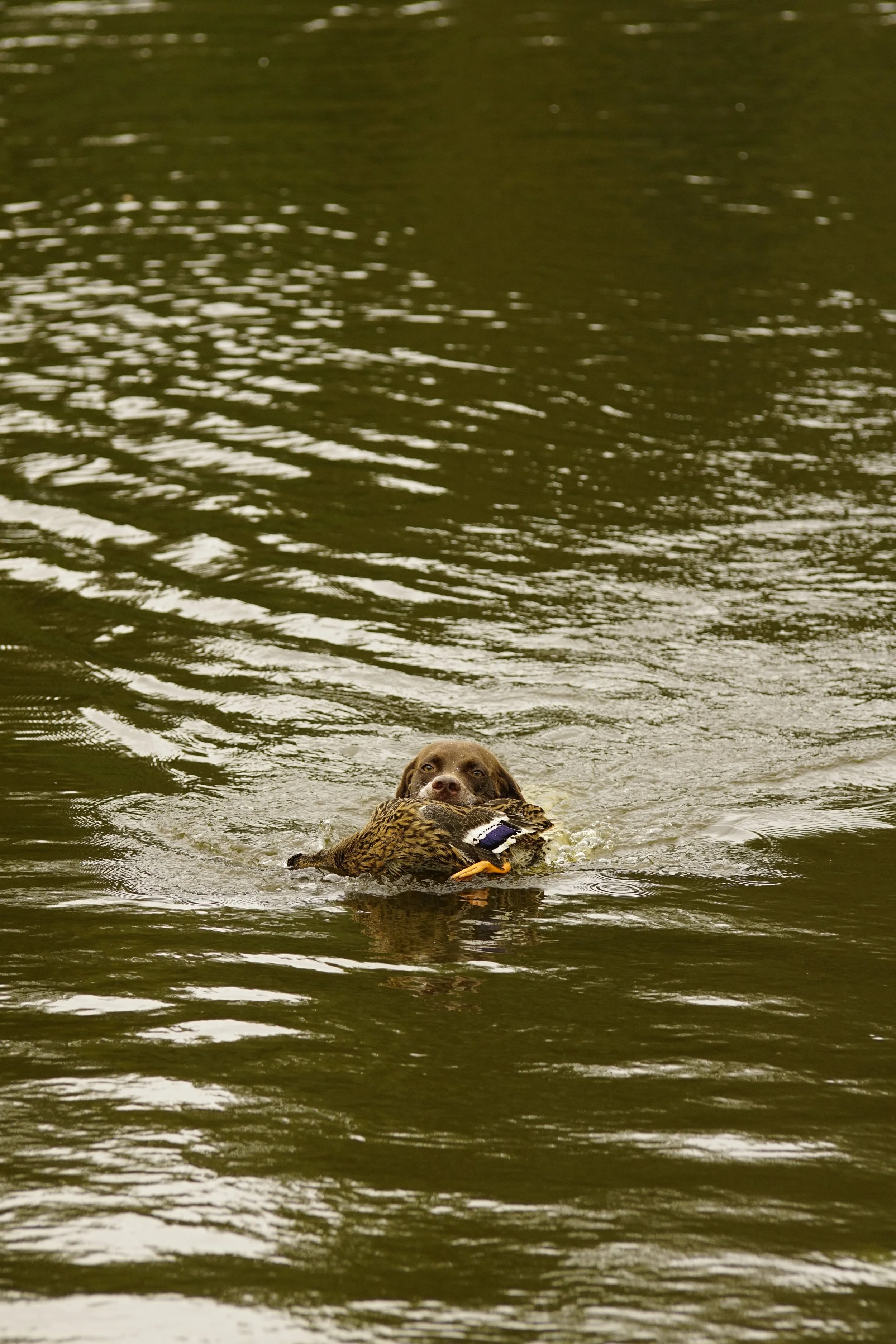 _DSC9002.JPG