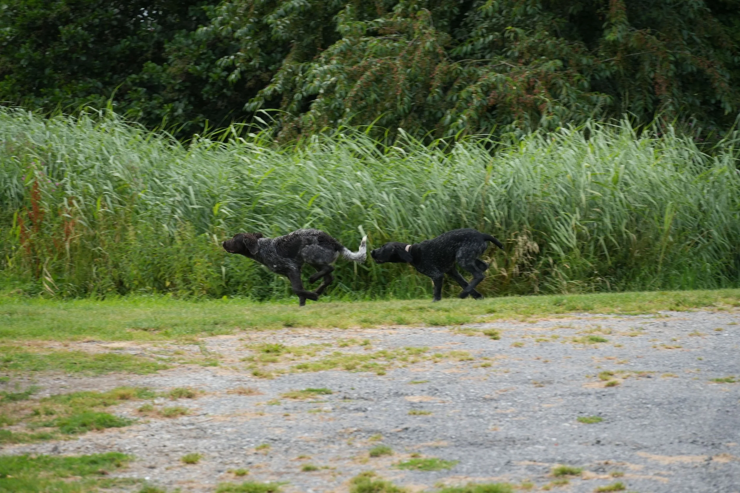 DSC08418.JPG