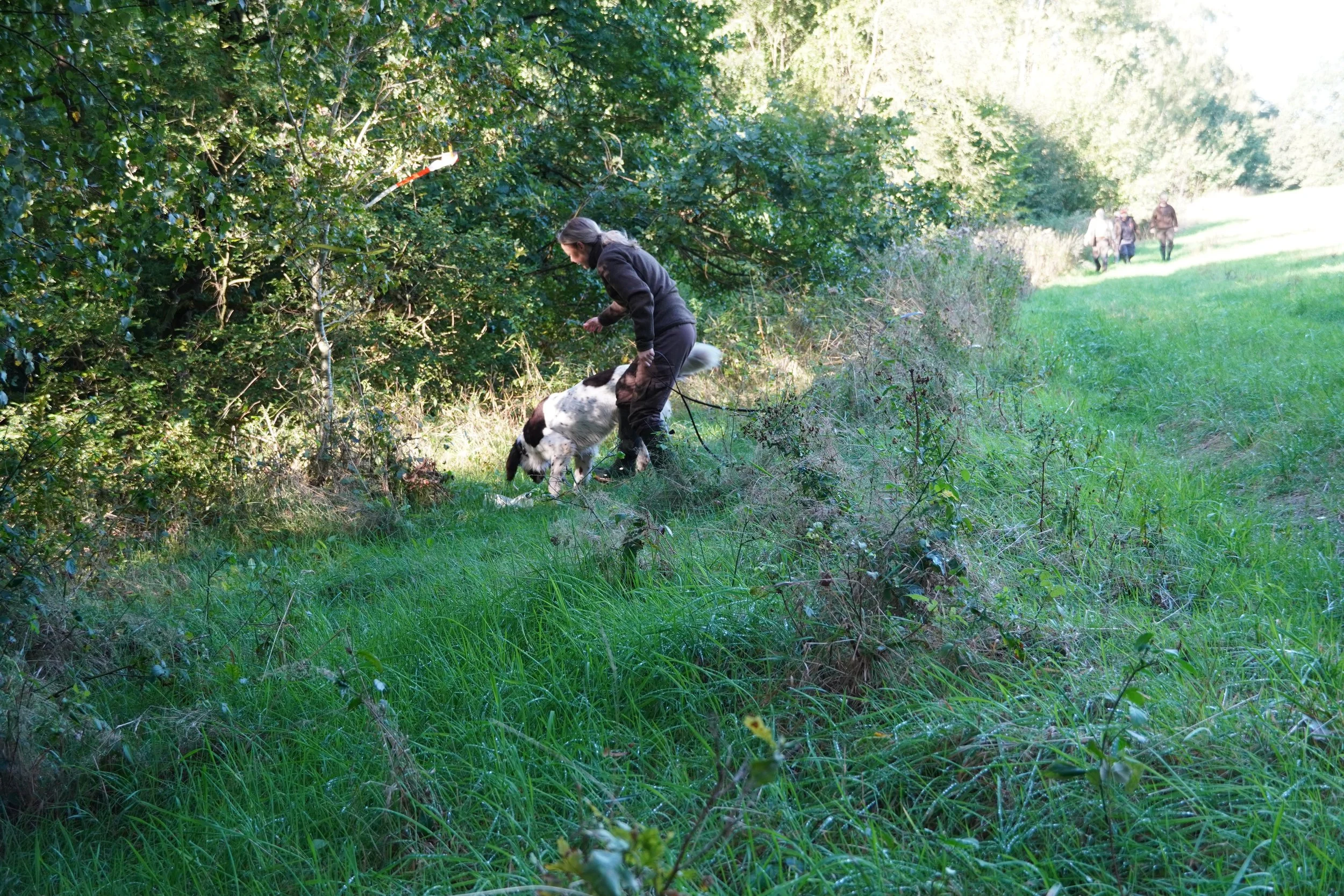 DSC01914.jpeg