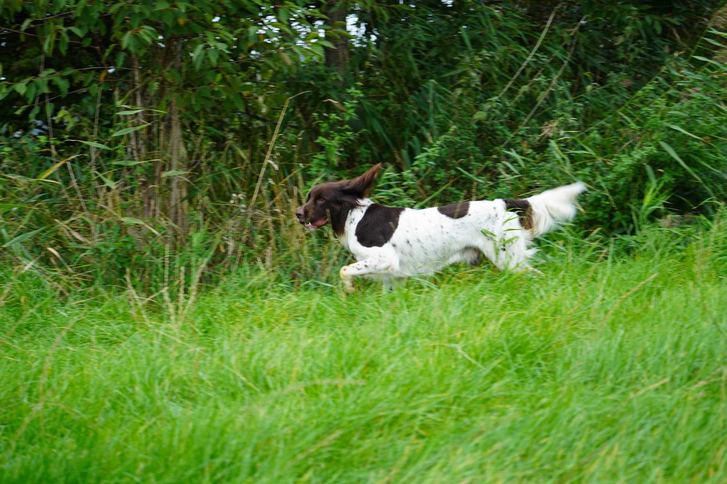 DSC01133.JPG