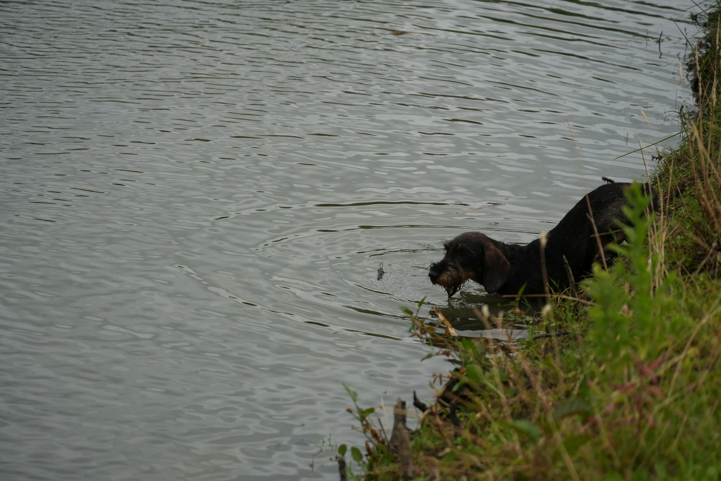 DSC08698.JPG