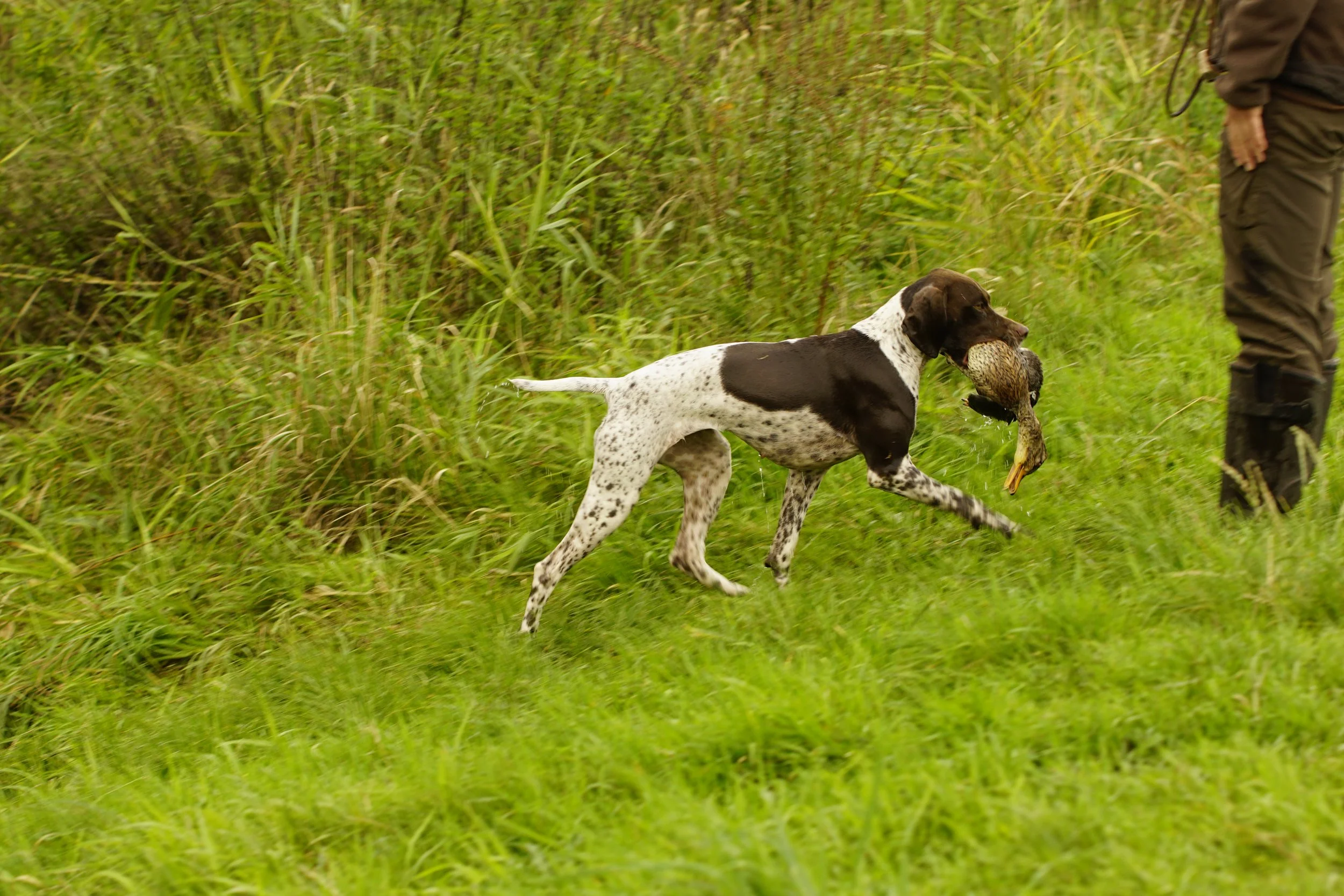 _DSC9047.JPG