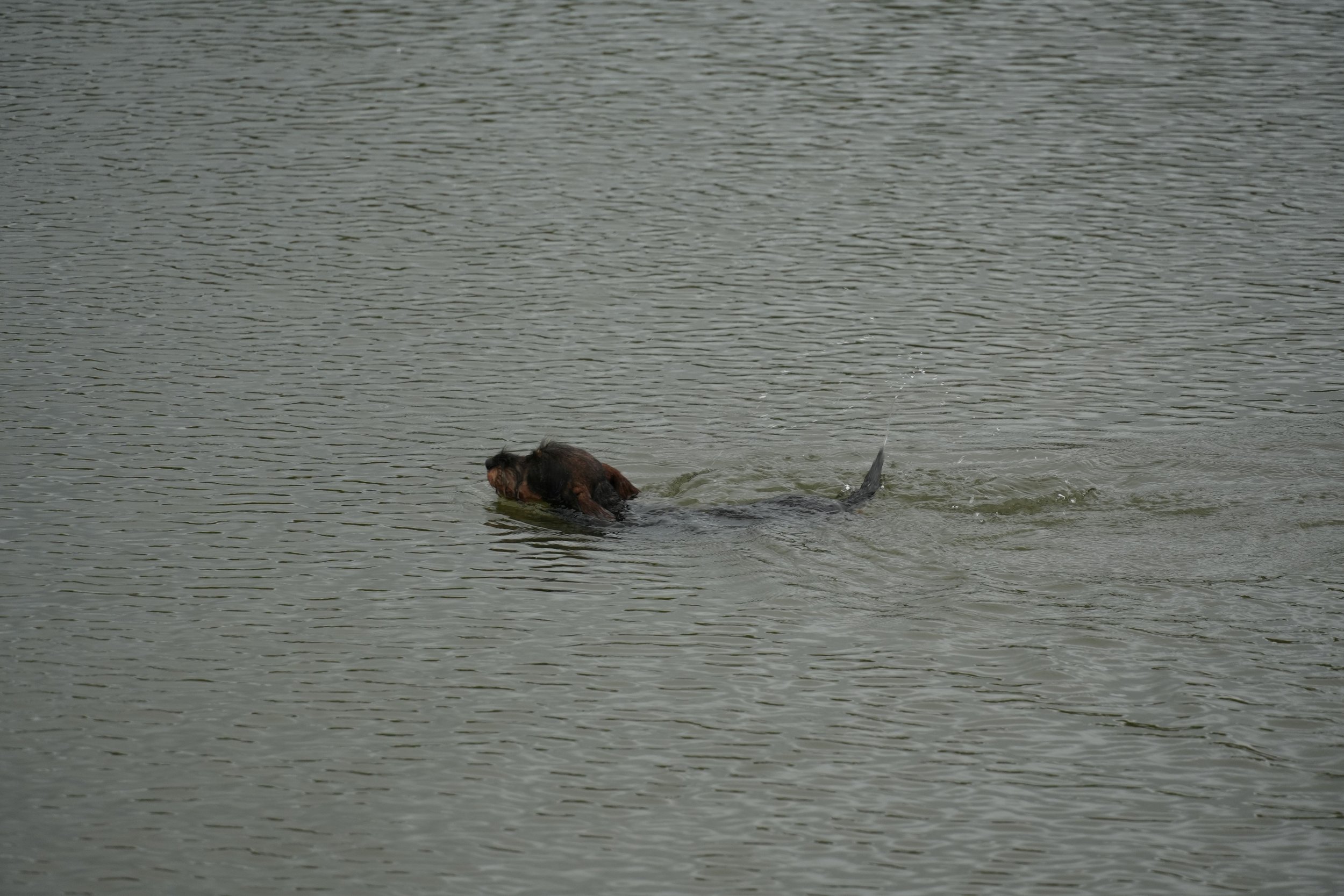 DSC08700.JPG
