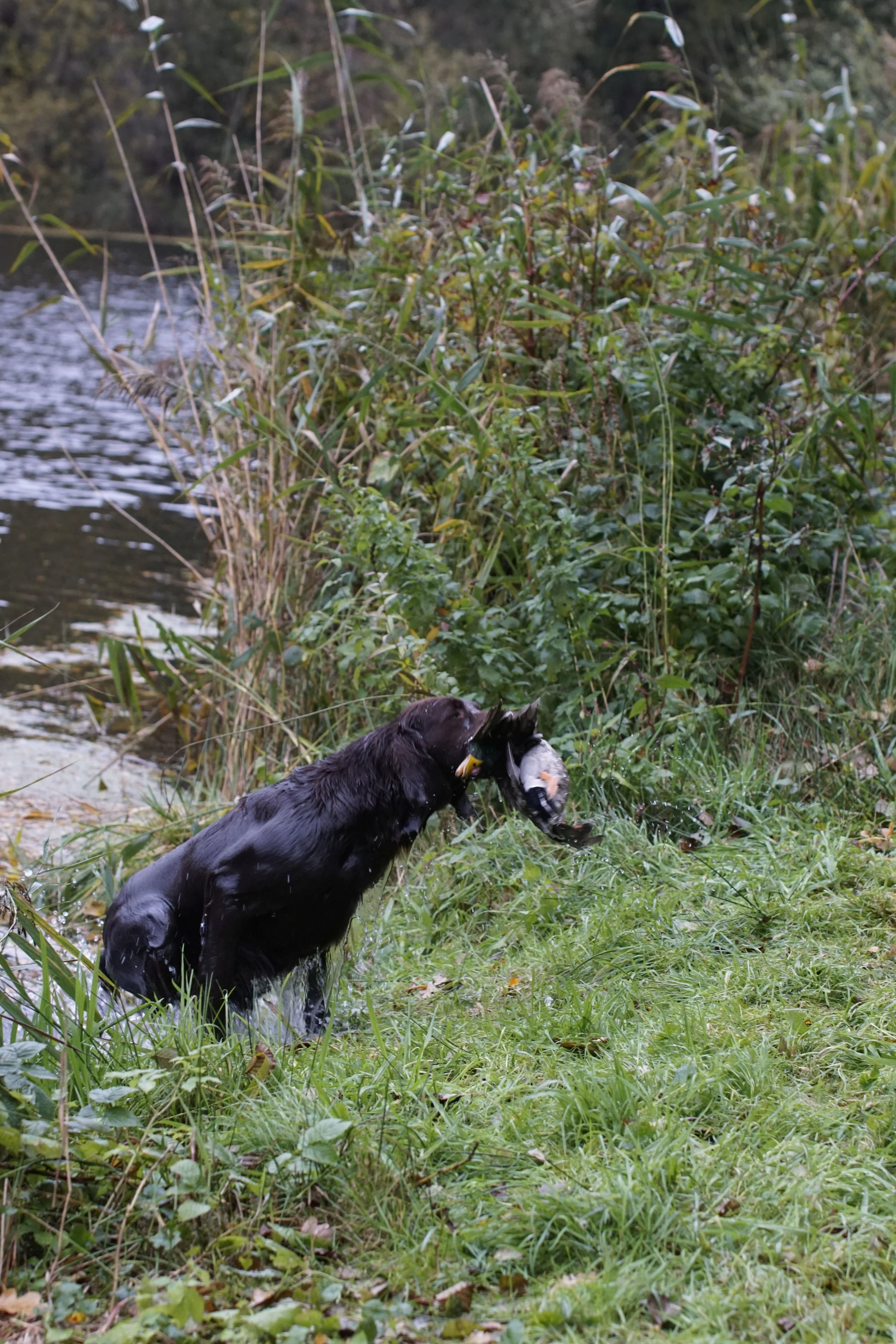 image7ii0126.jpg