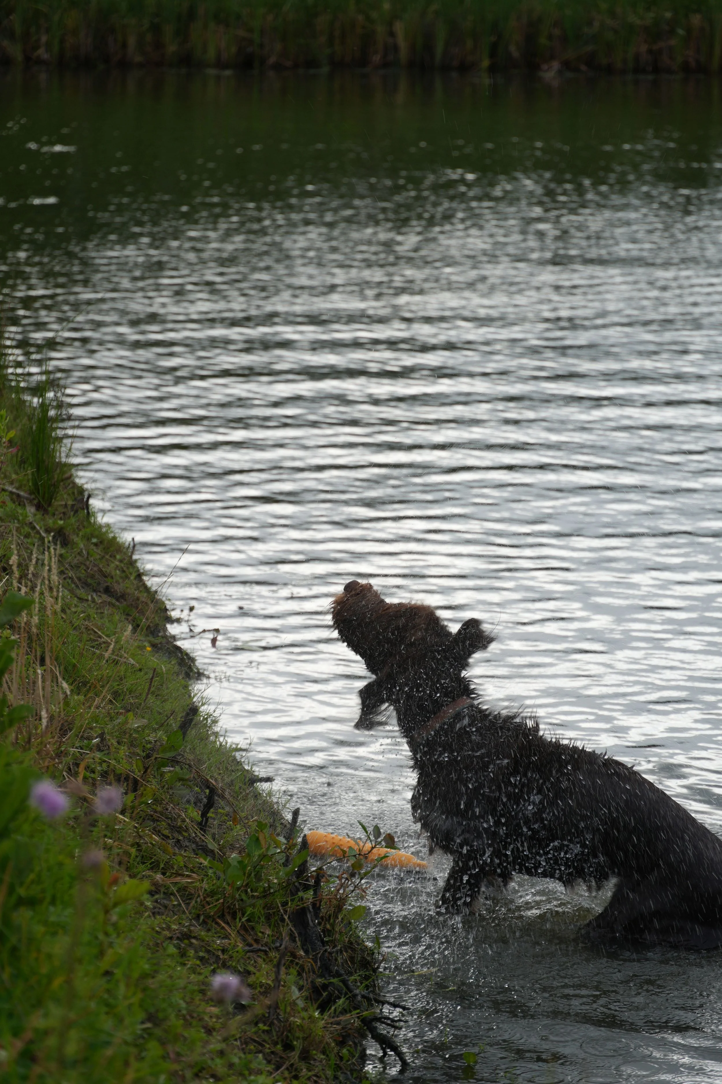 DSC08560.JPG
