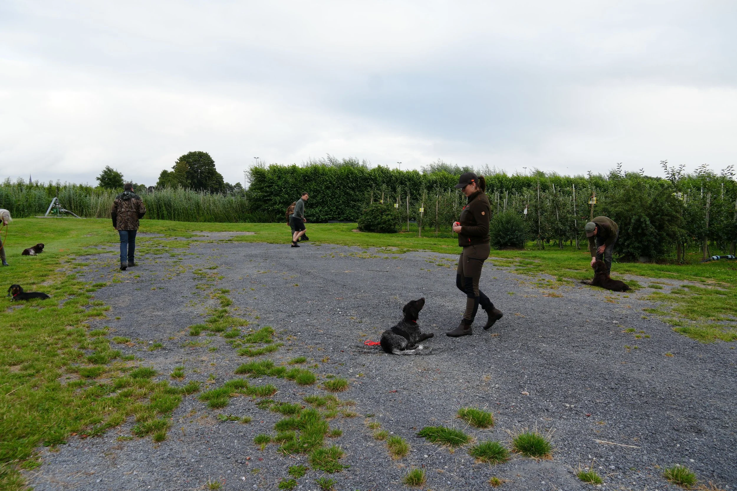 DSC08357.JPG