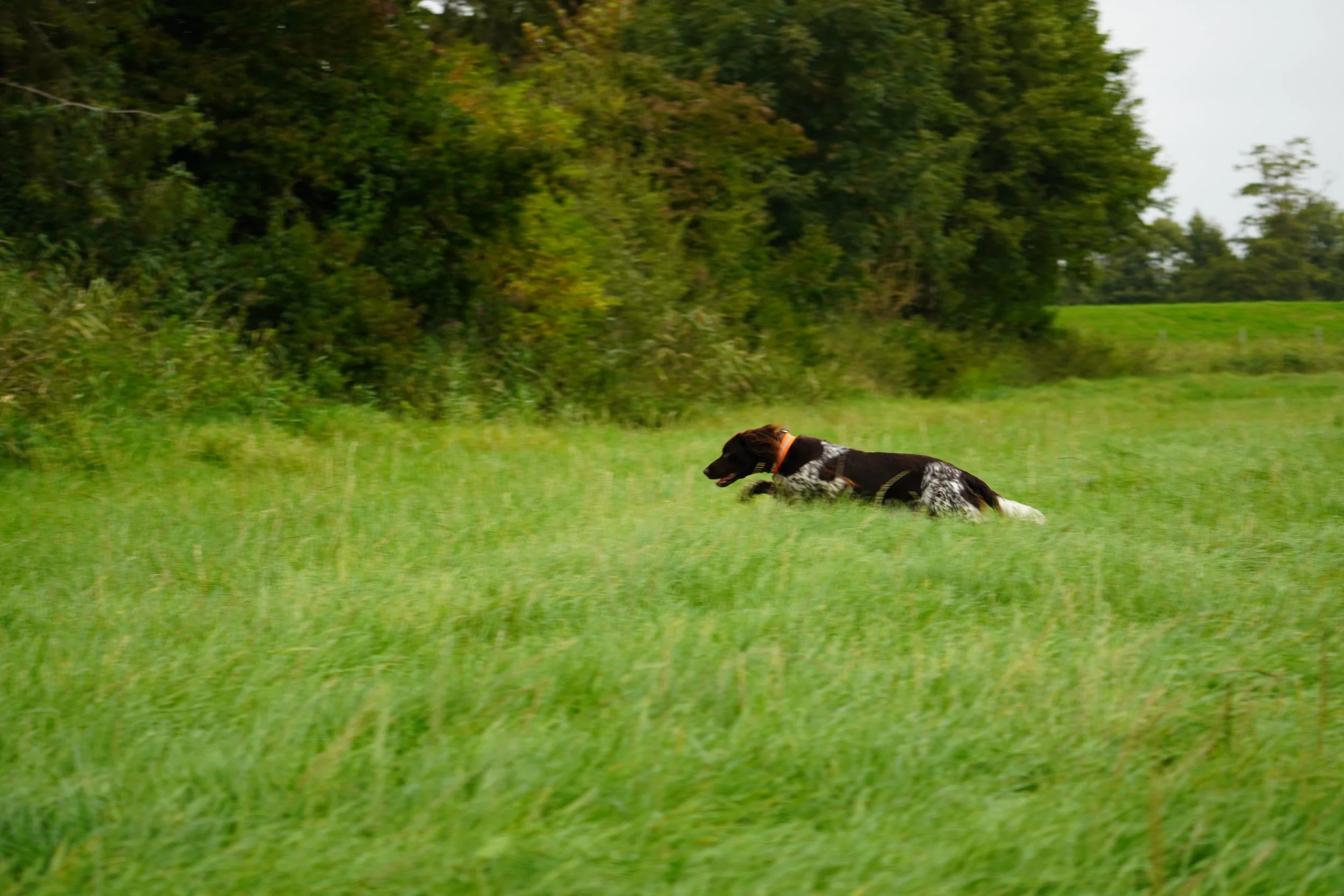 DSC01120.JPG