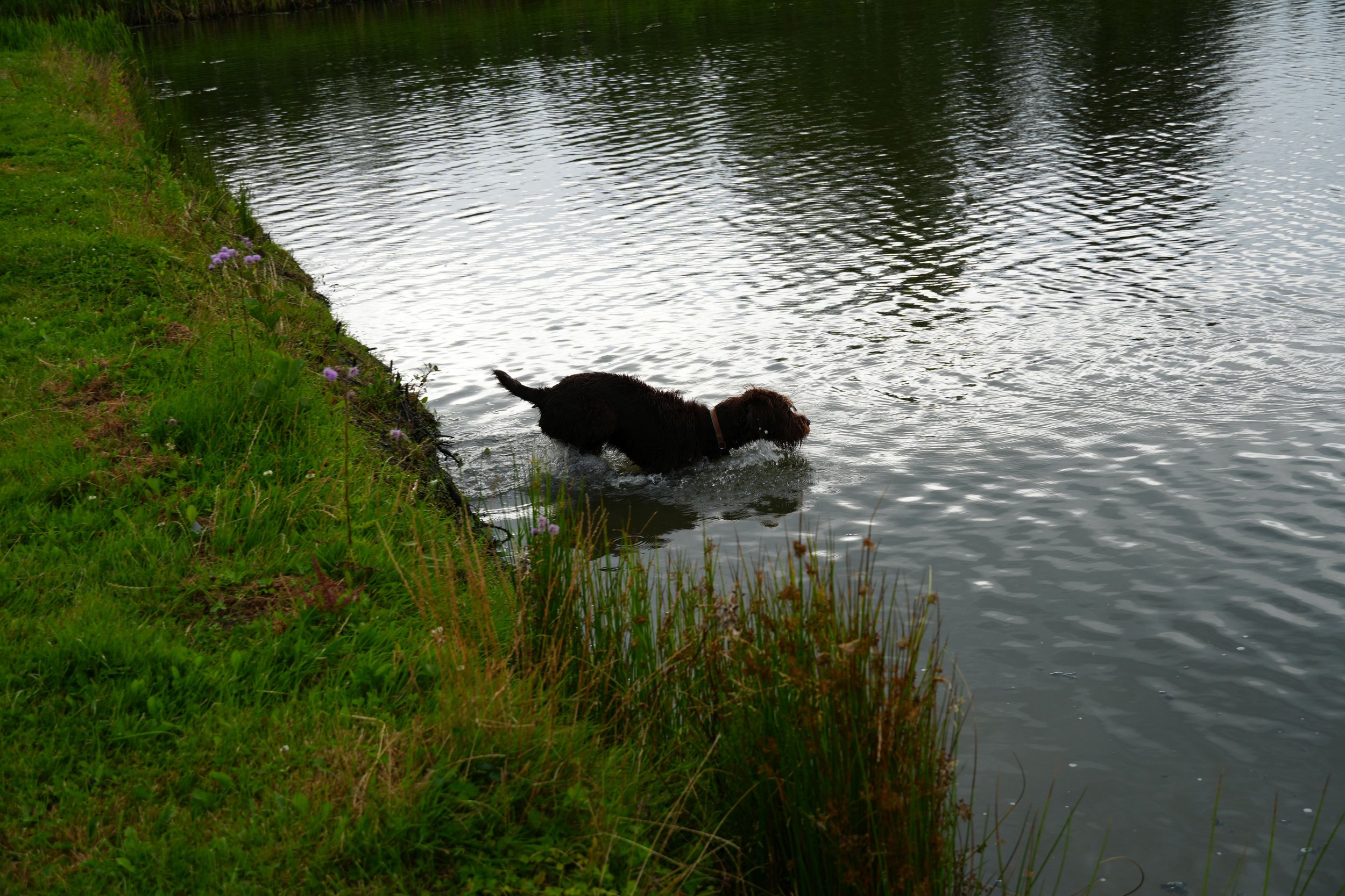 DSC08554.JPG