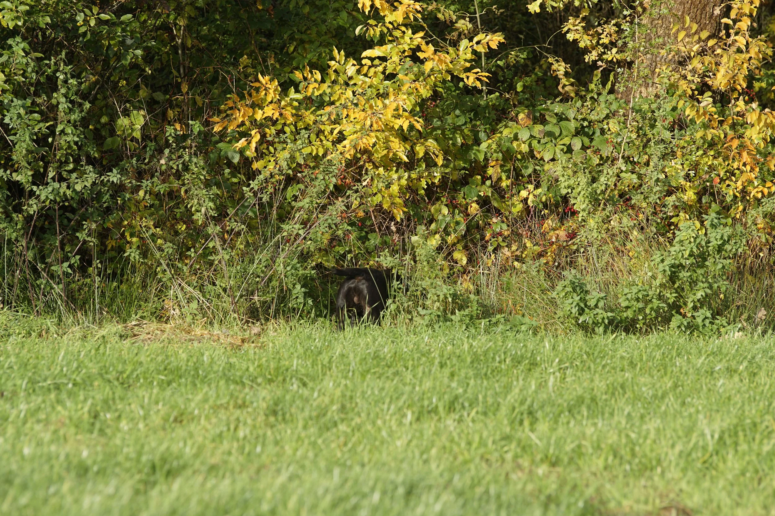 image7ii0617.jpg