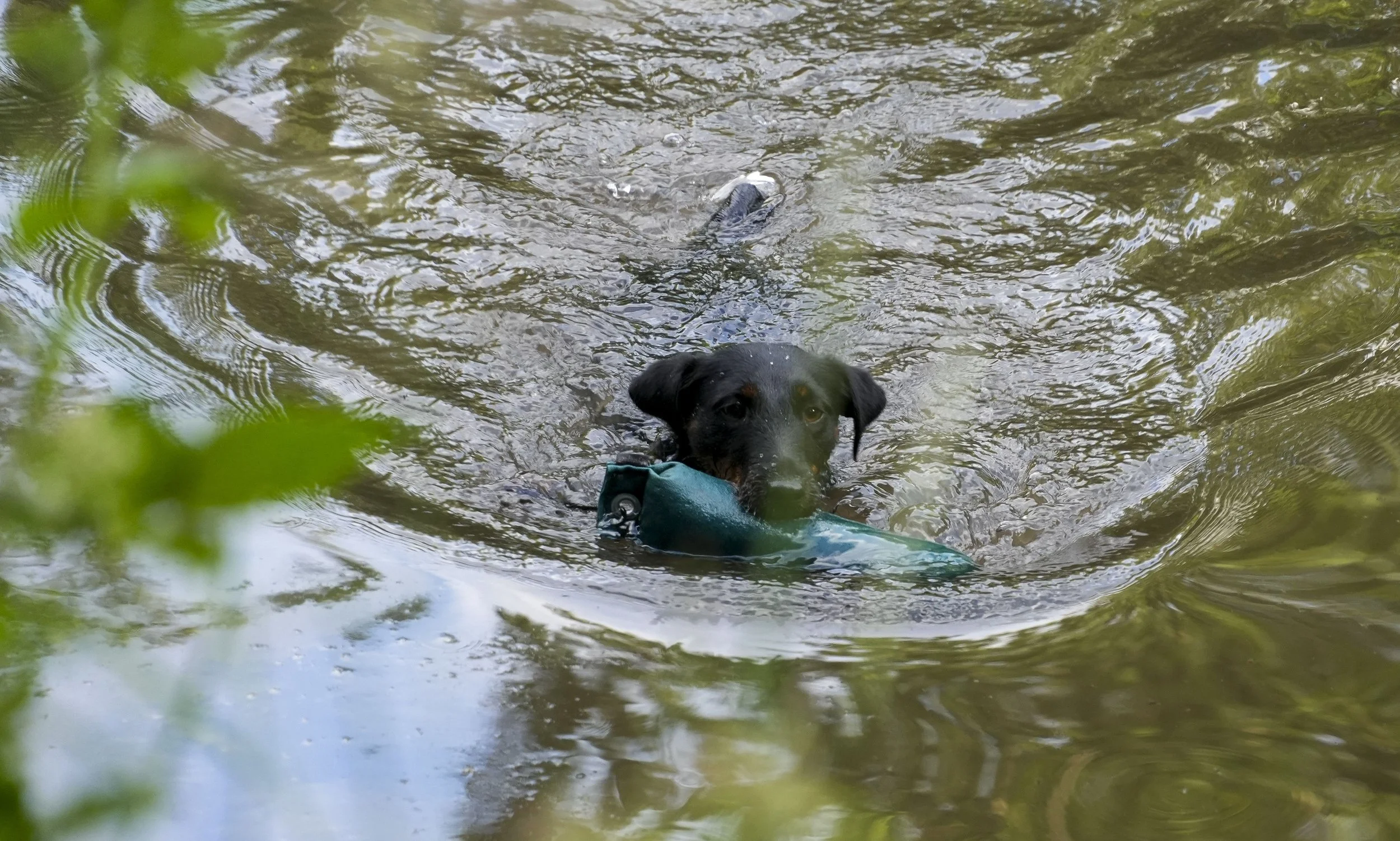 DSC01806.jpg