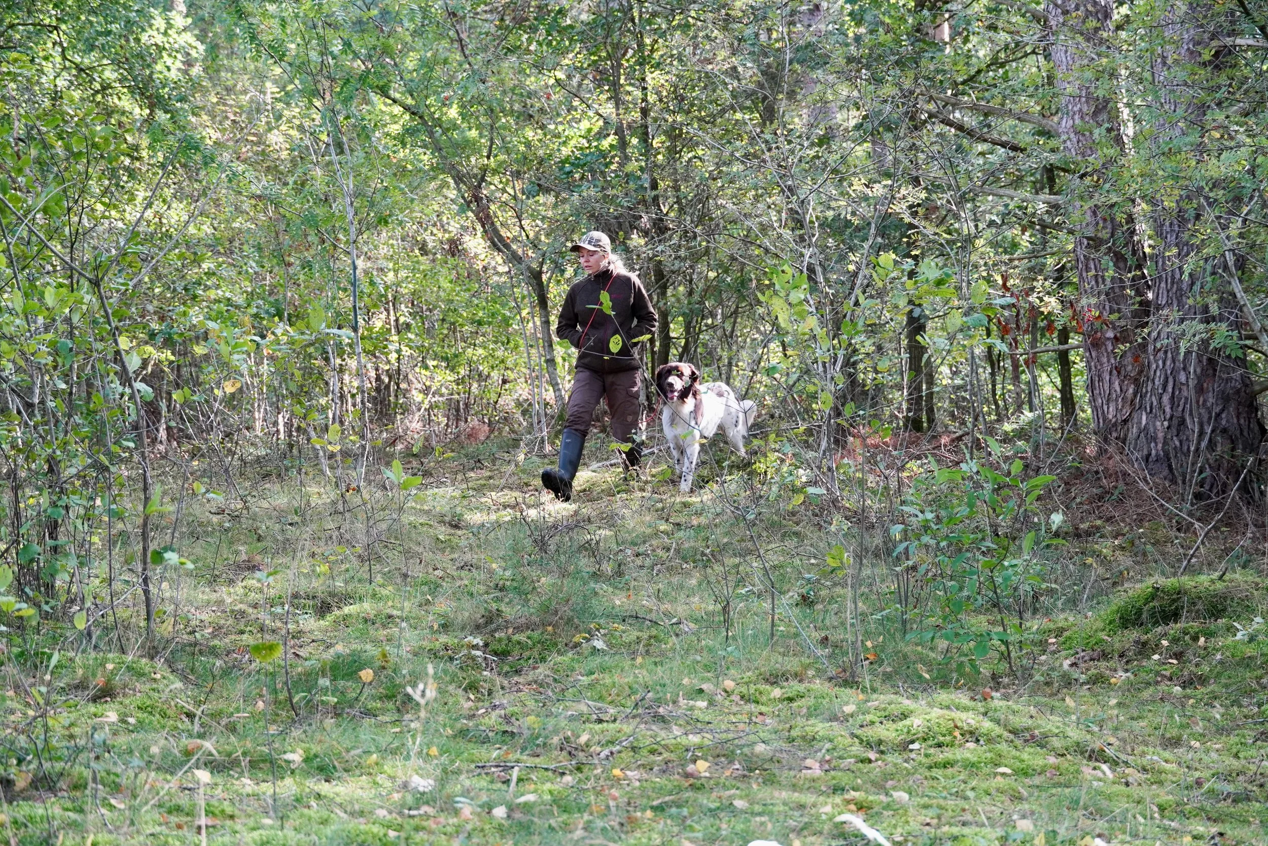 DSC02023.jpeg