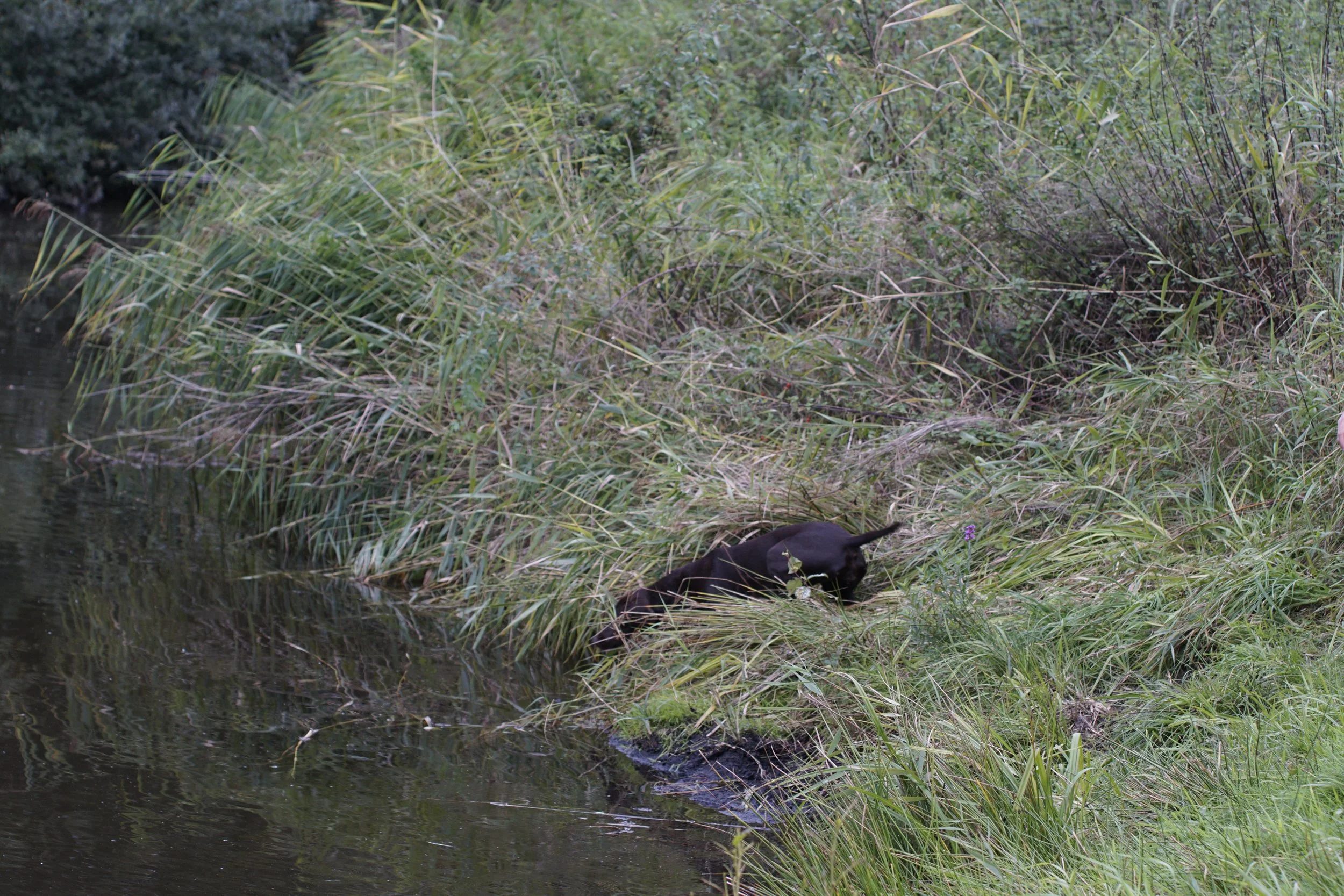 _DSC9100.JPG