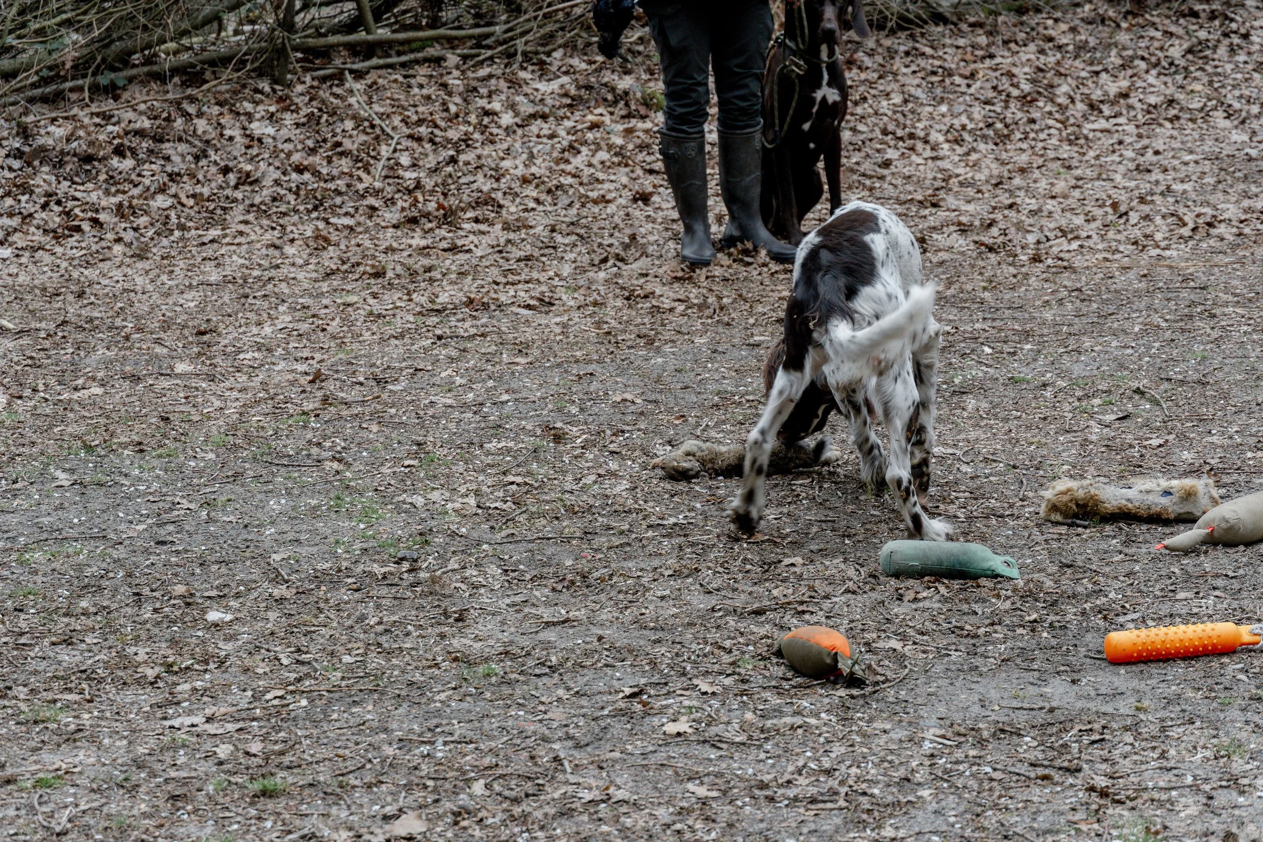 DSC01380-97.jpg