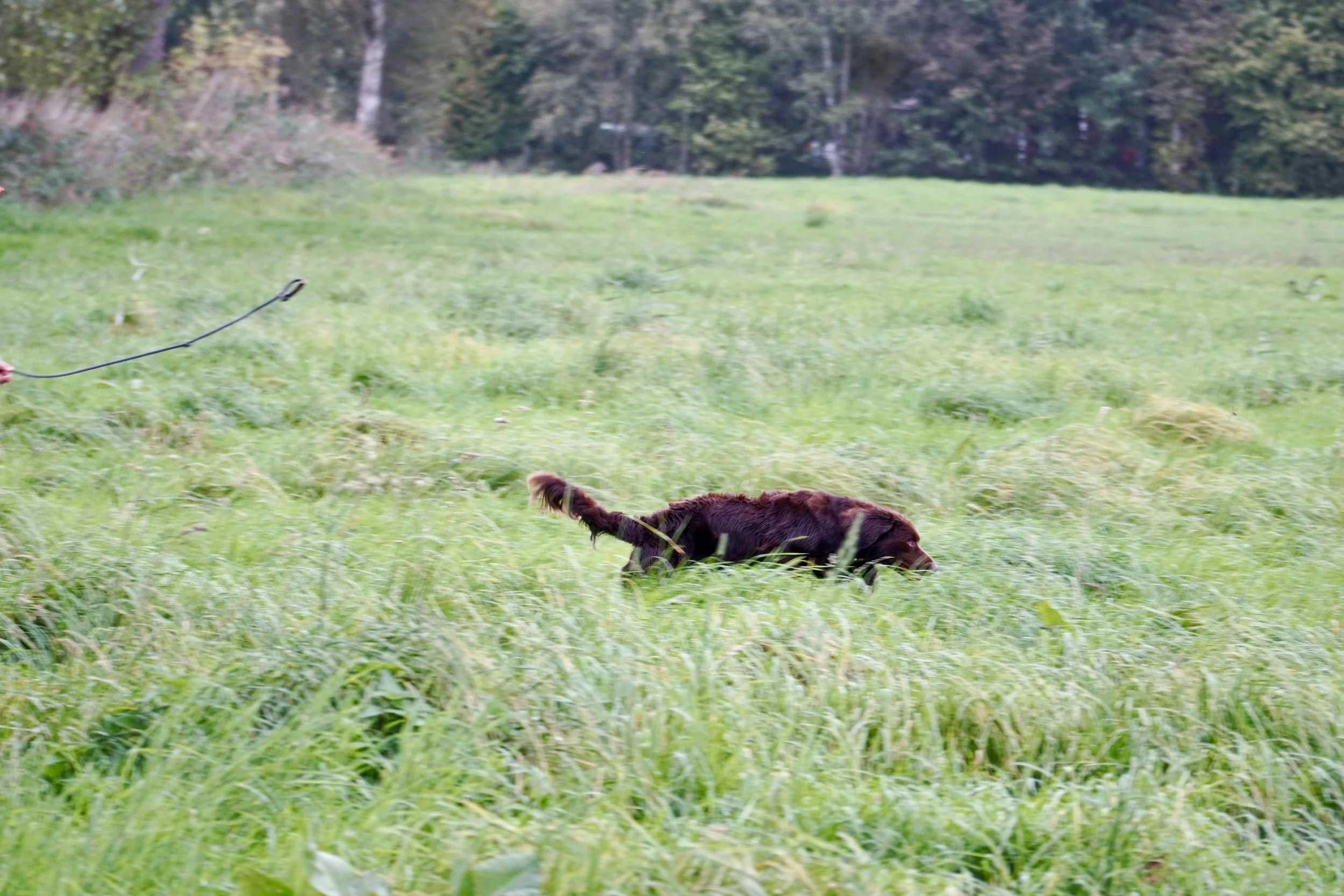 DSC01362.JPG