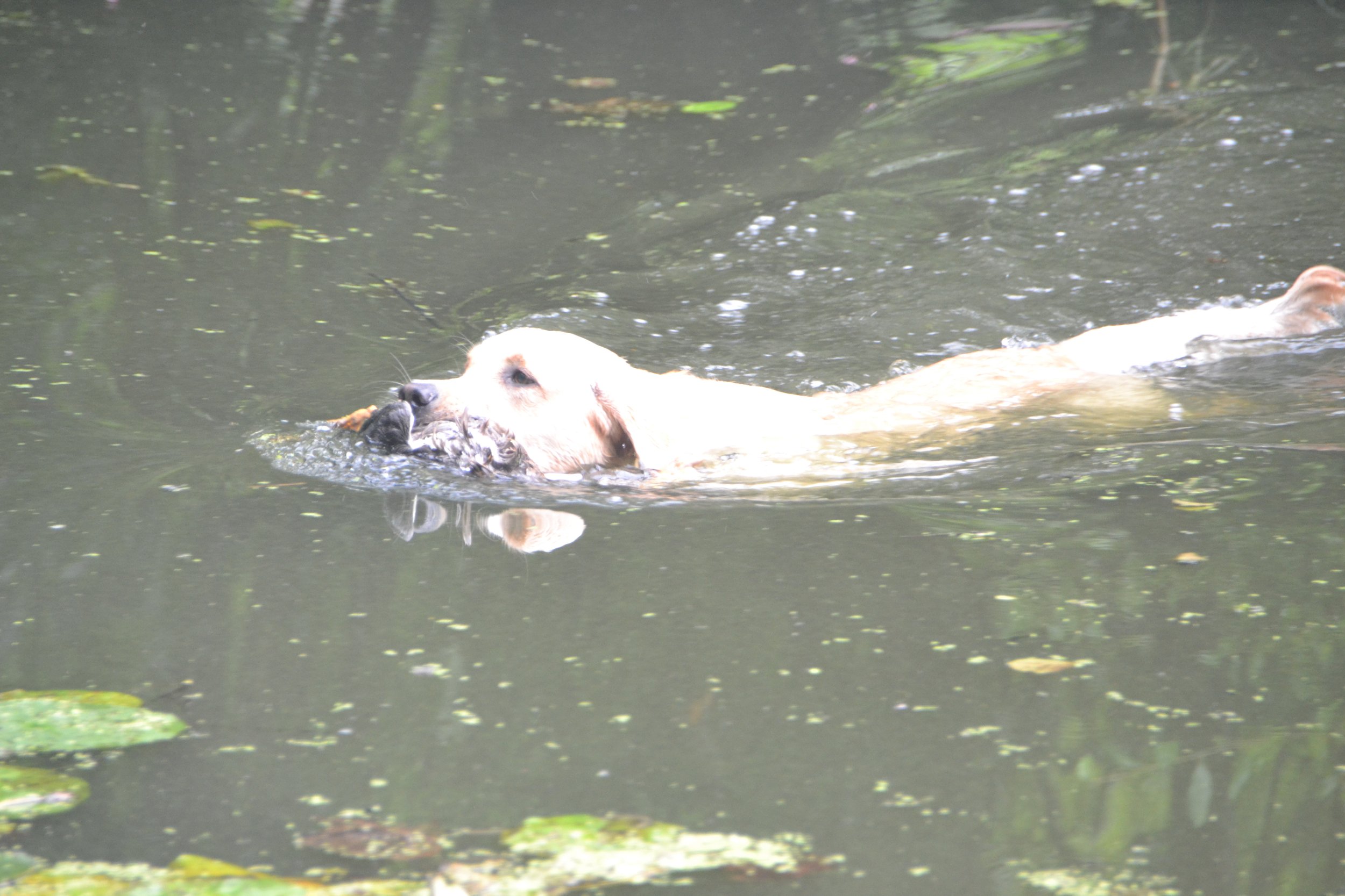 DSC_0051.JPG