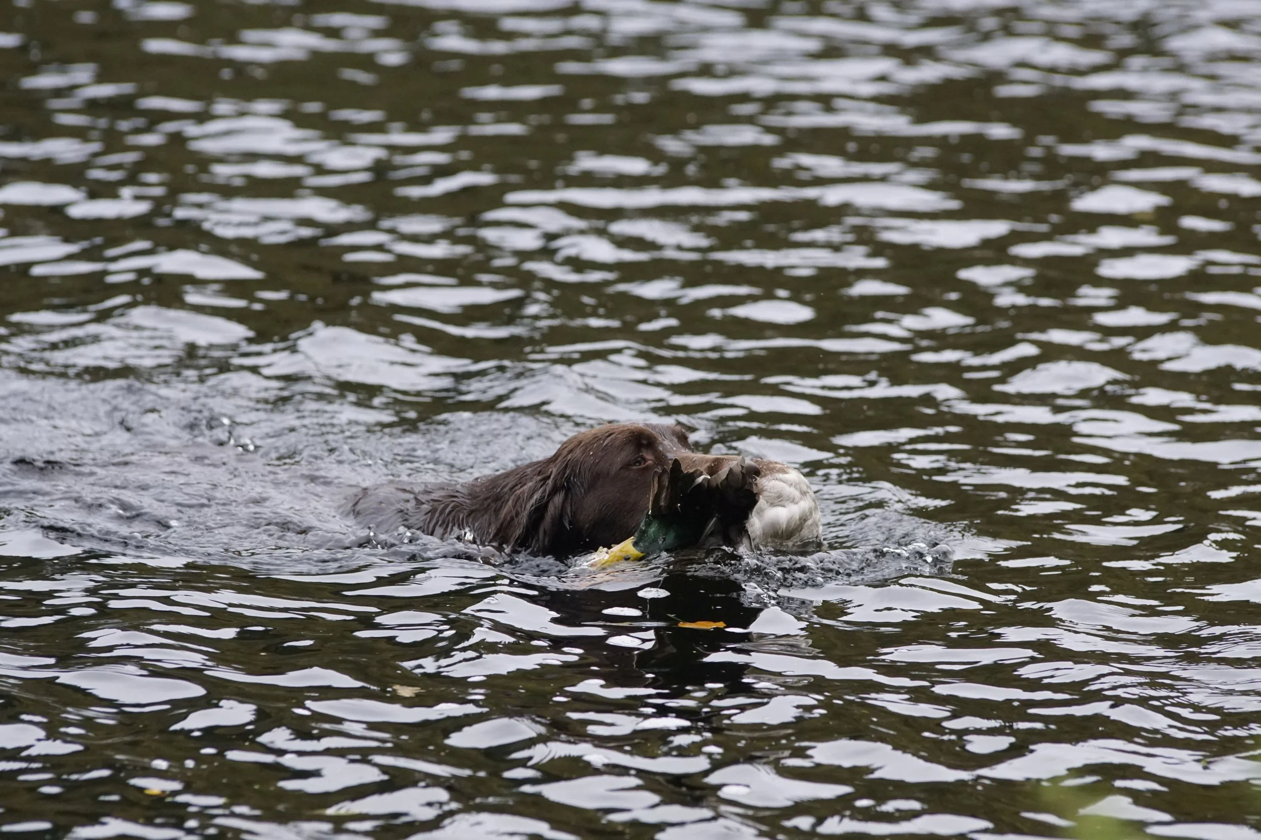 image7ii0124.jpg