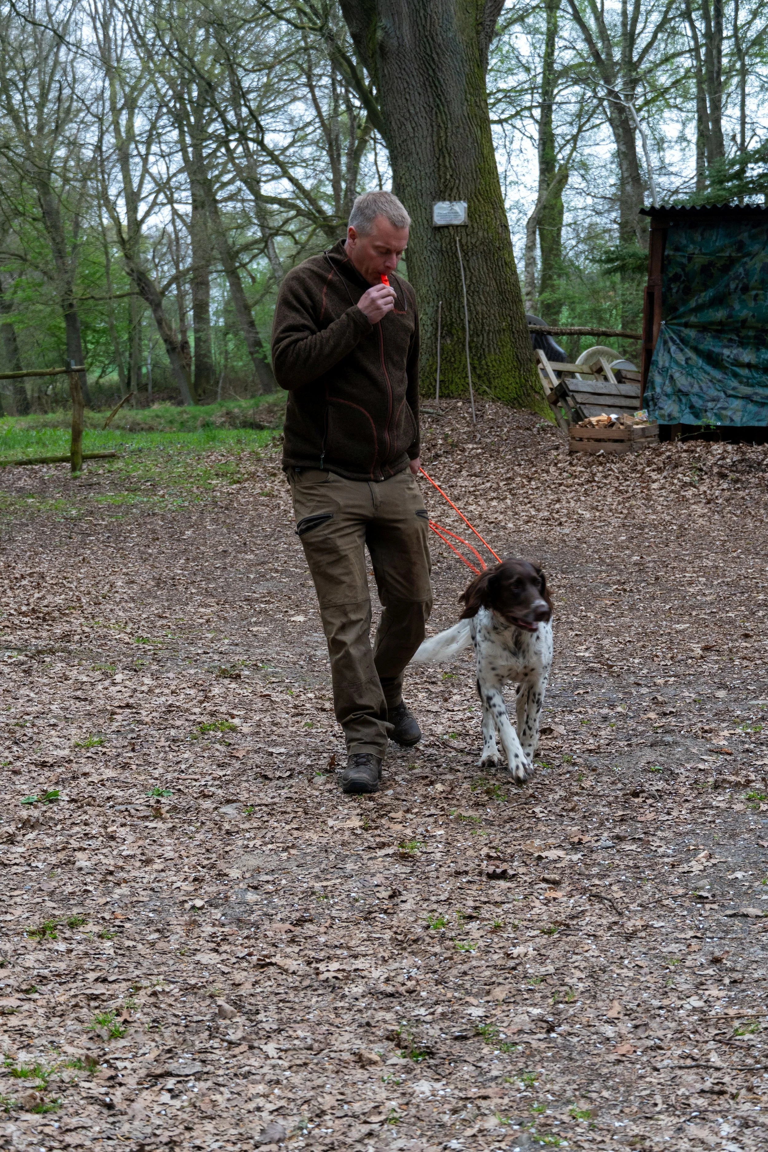 DSC01223-14.jpg