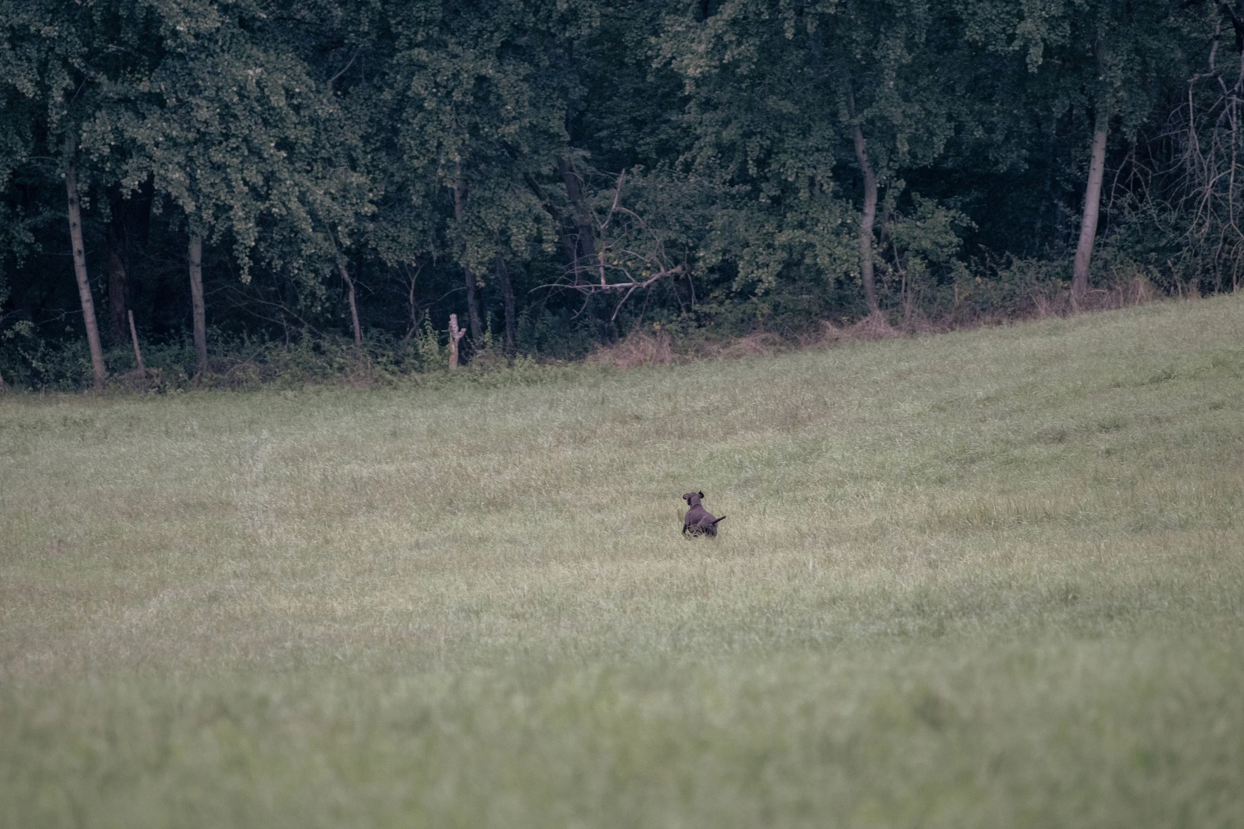 20260911-_DSC8638.jpg