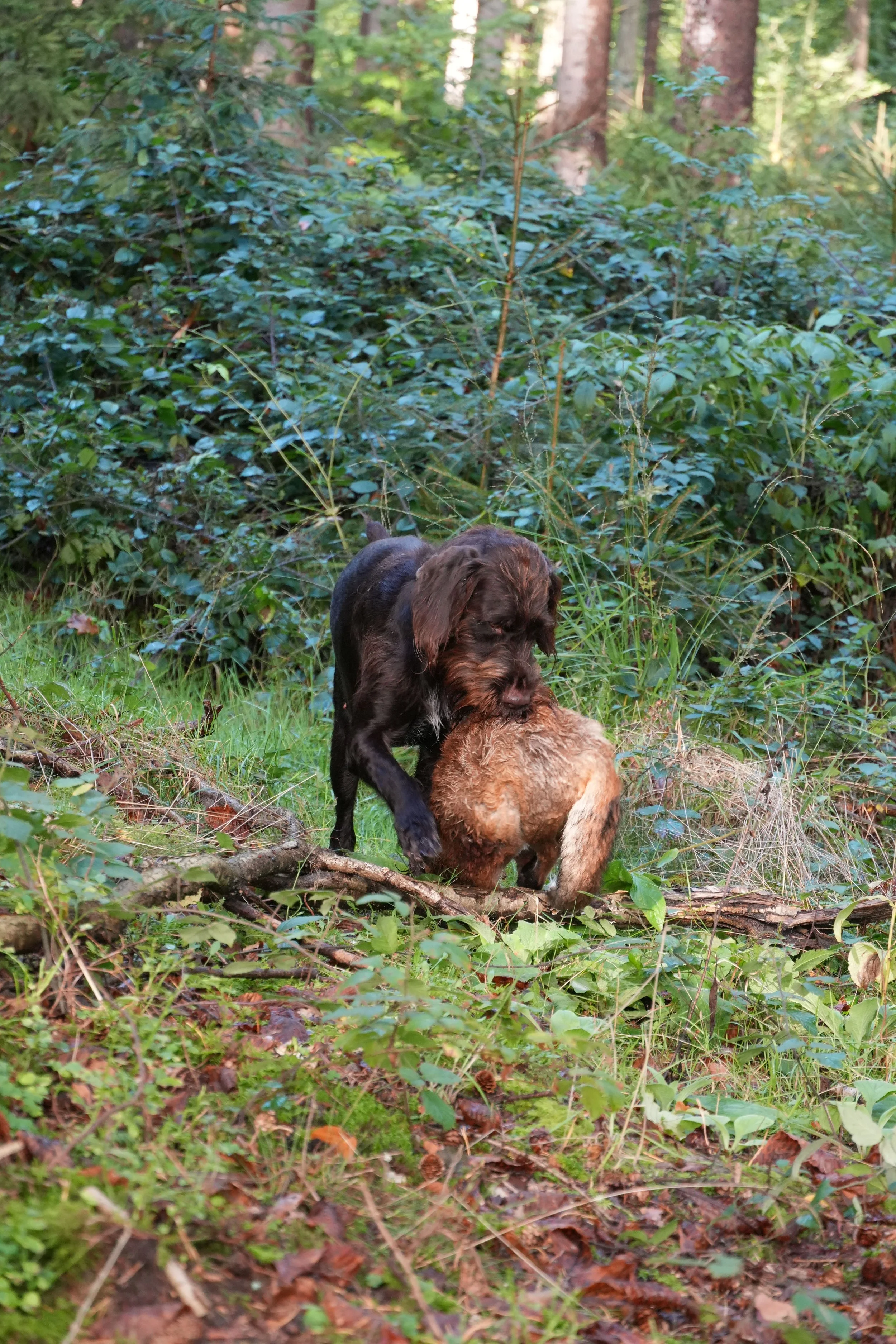 DSC07904.JPG