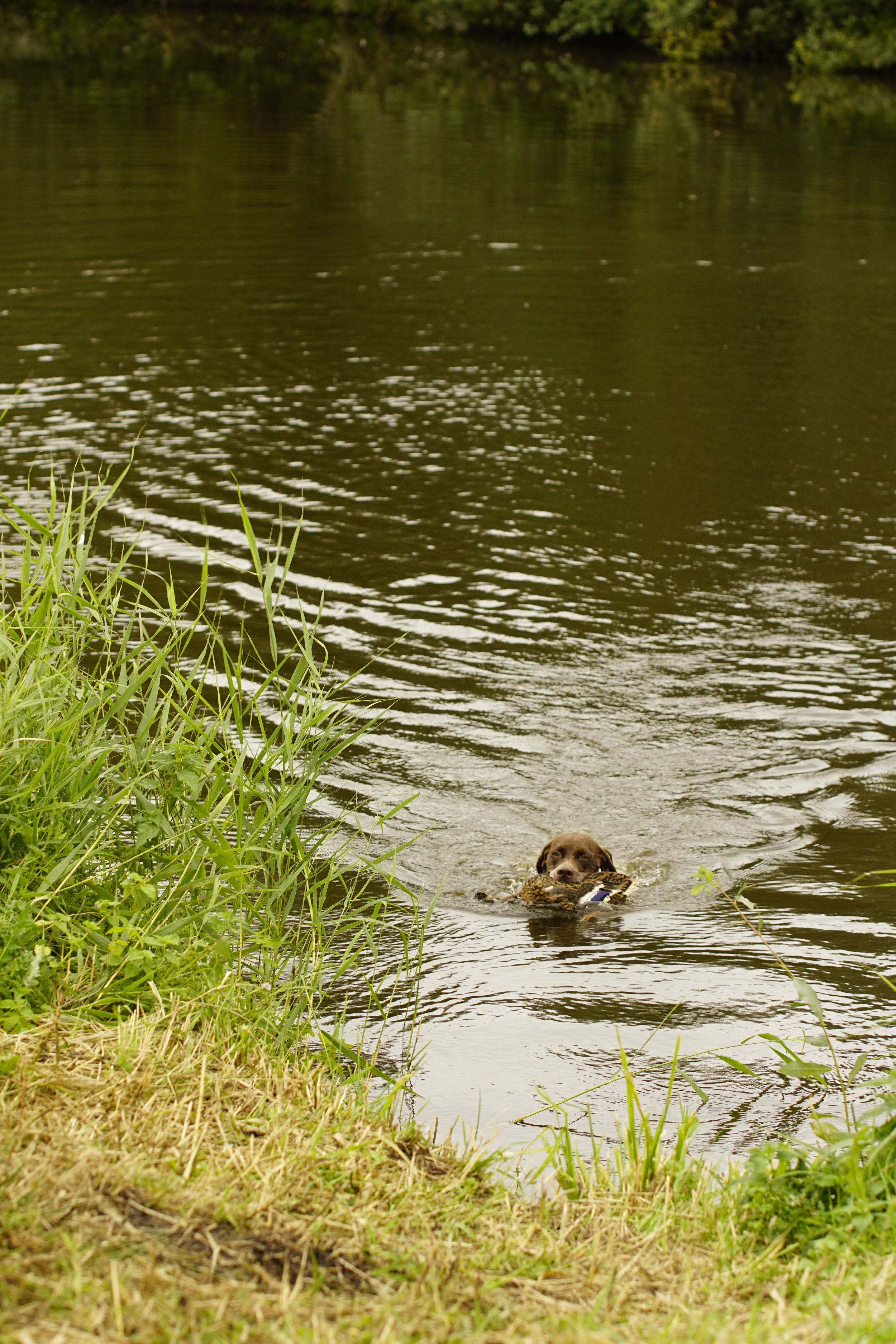 _DSC9004.JPG