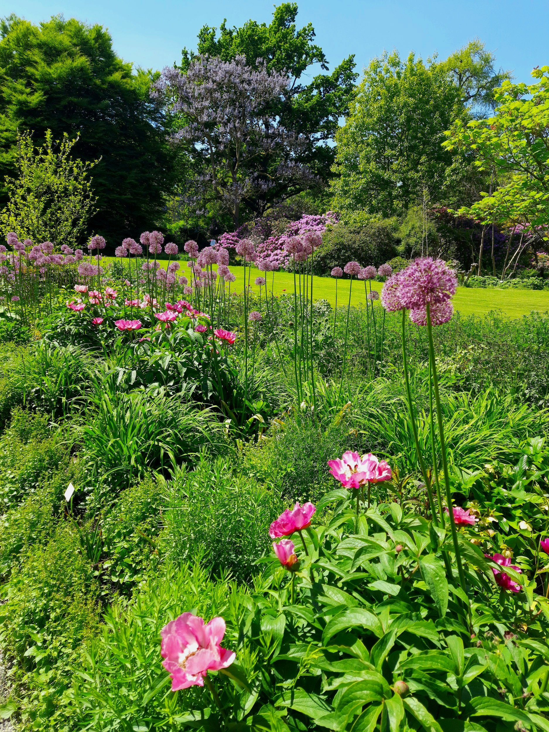 Summer is Blooming