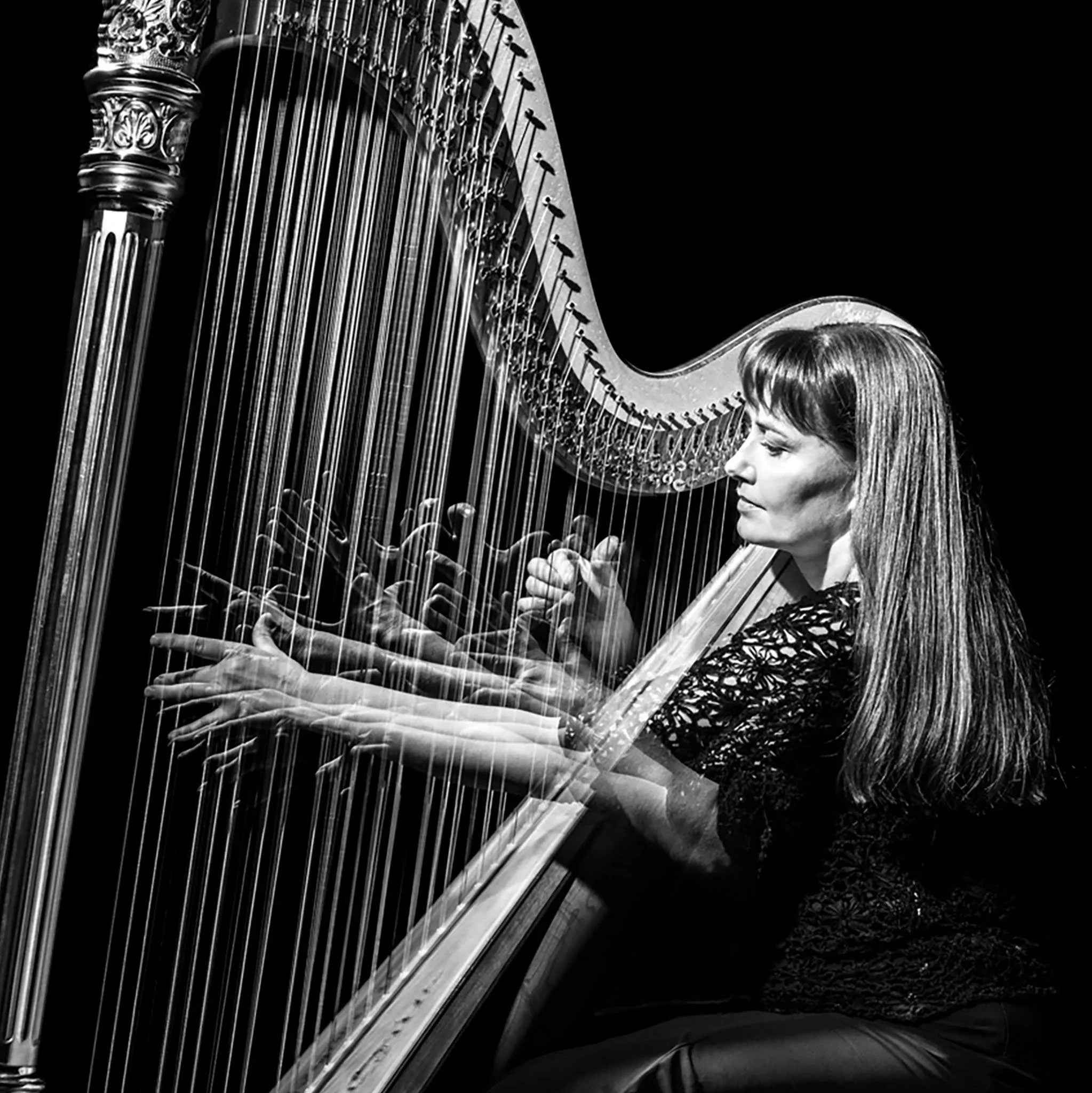 hko03-244 copy 2.jpg