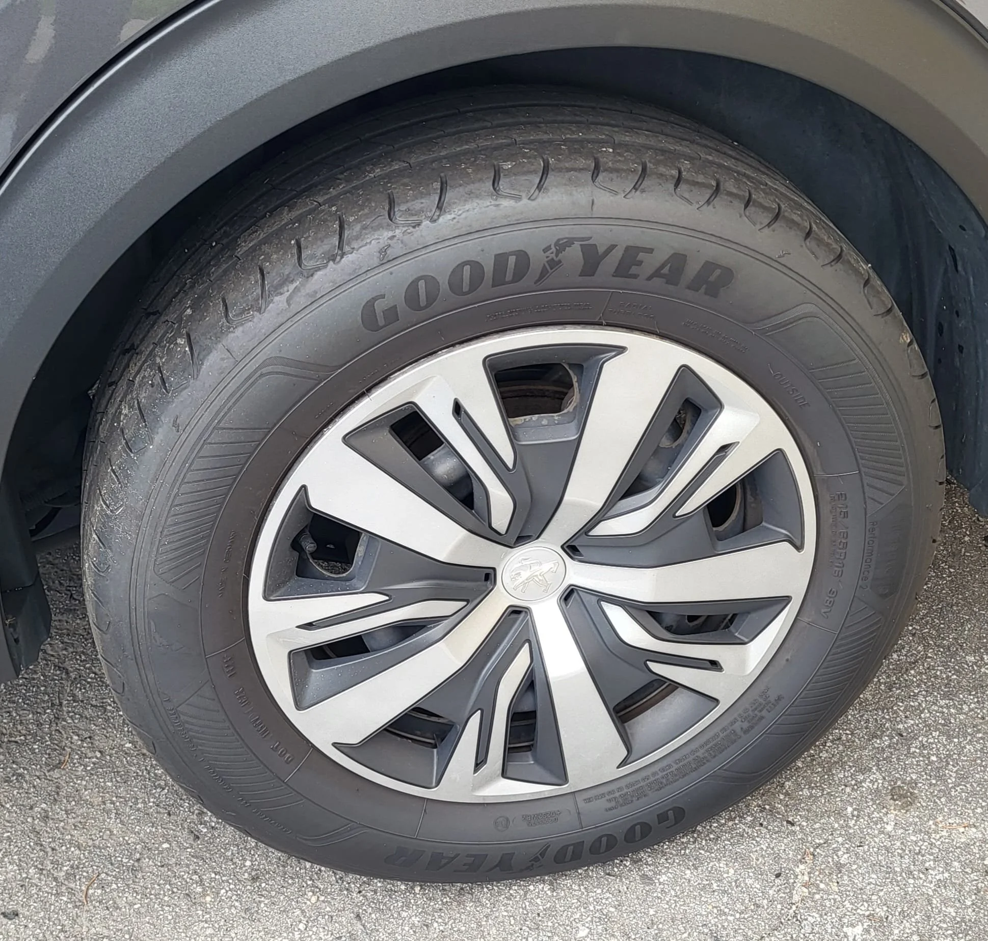 WhatsApp Image 2025-10-30 at 14.44.03.jpeg