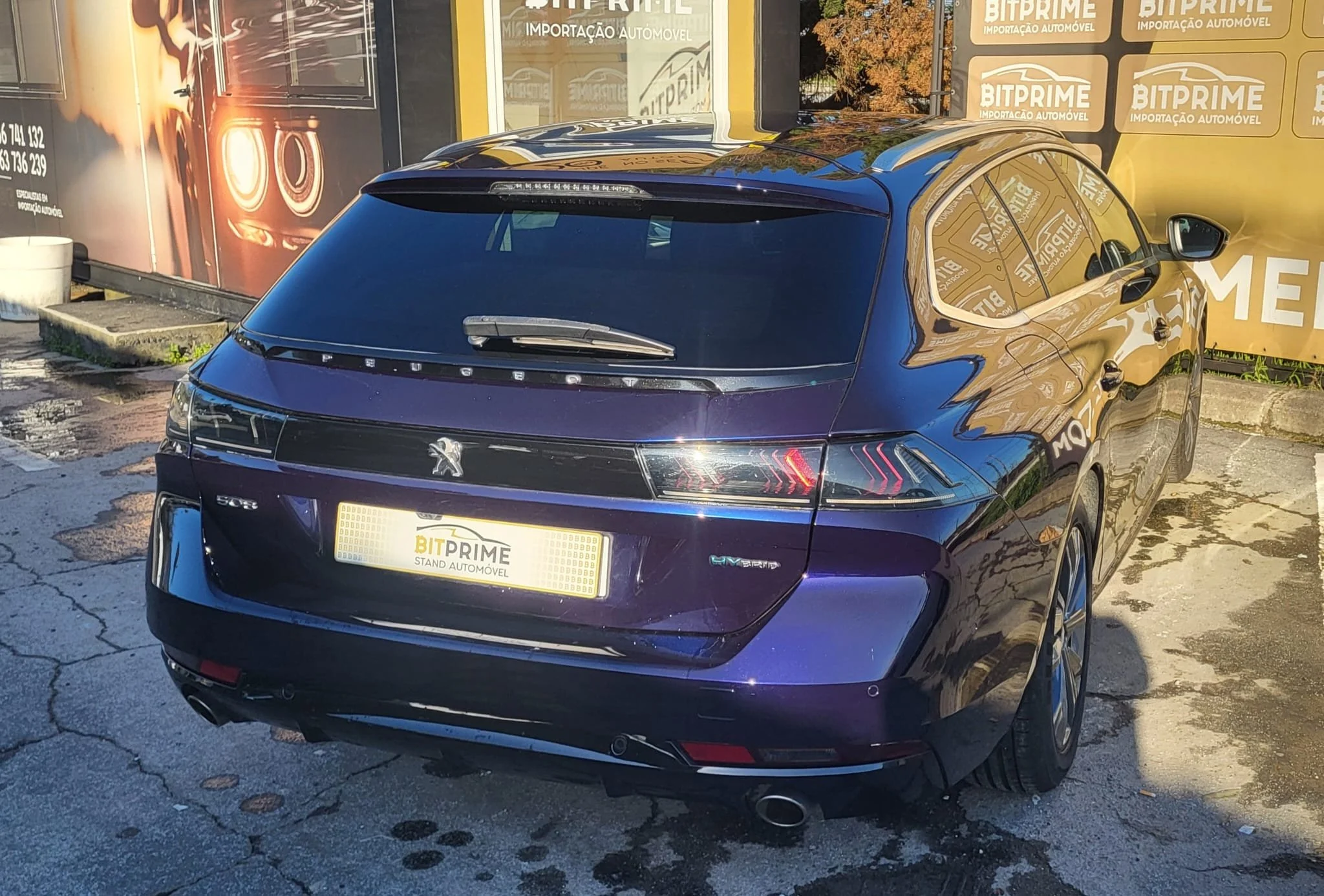 WhatsApp Image 2026-03-13 at 16.09.23.jpeg