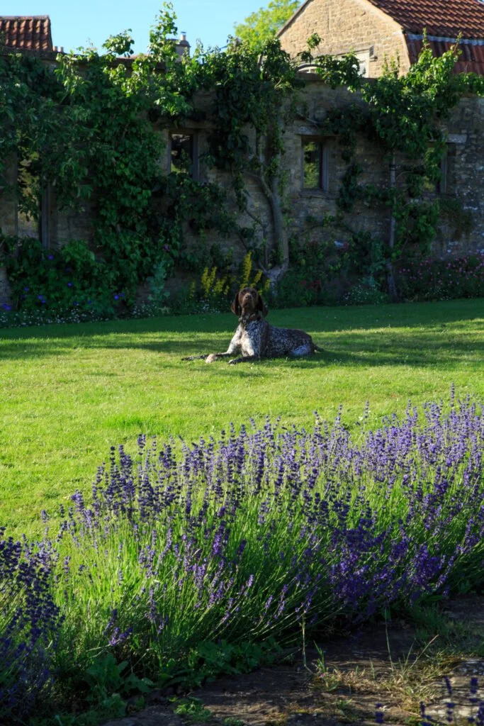 garden_11.jpg
