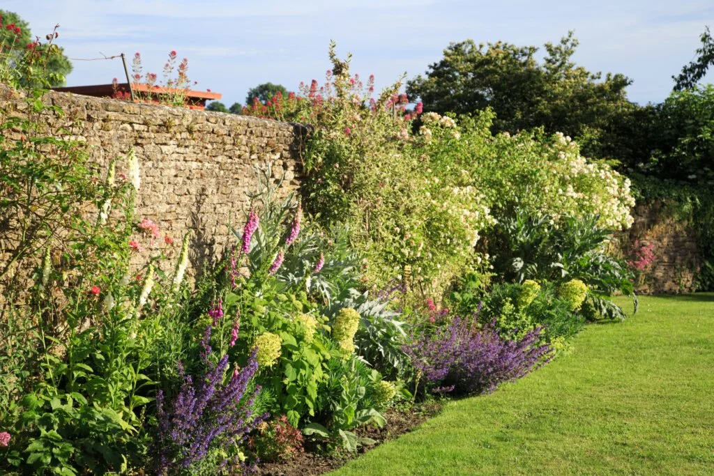 garden_13.jpg