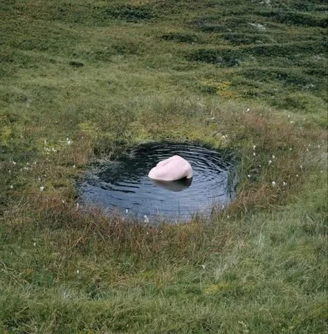 A person half-submerges themselves in the centre of a puddle in a grassy field, their body mimicking the shape of a rock.