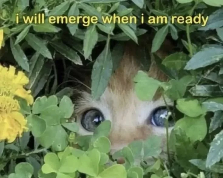 October 2025 | Resolve