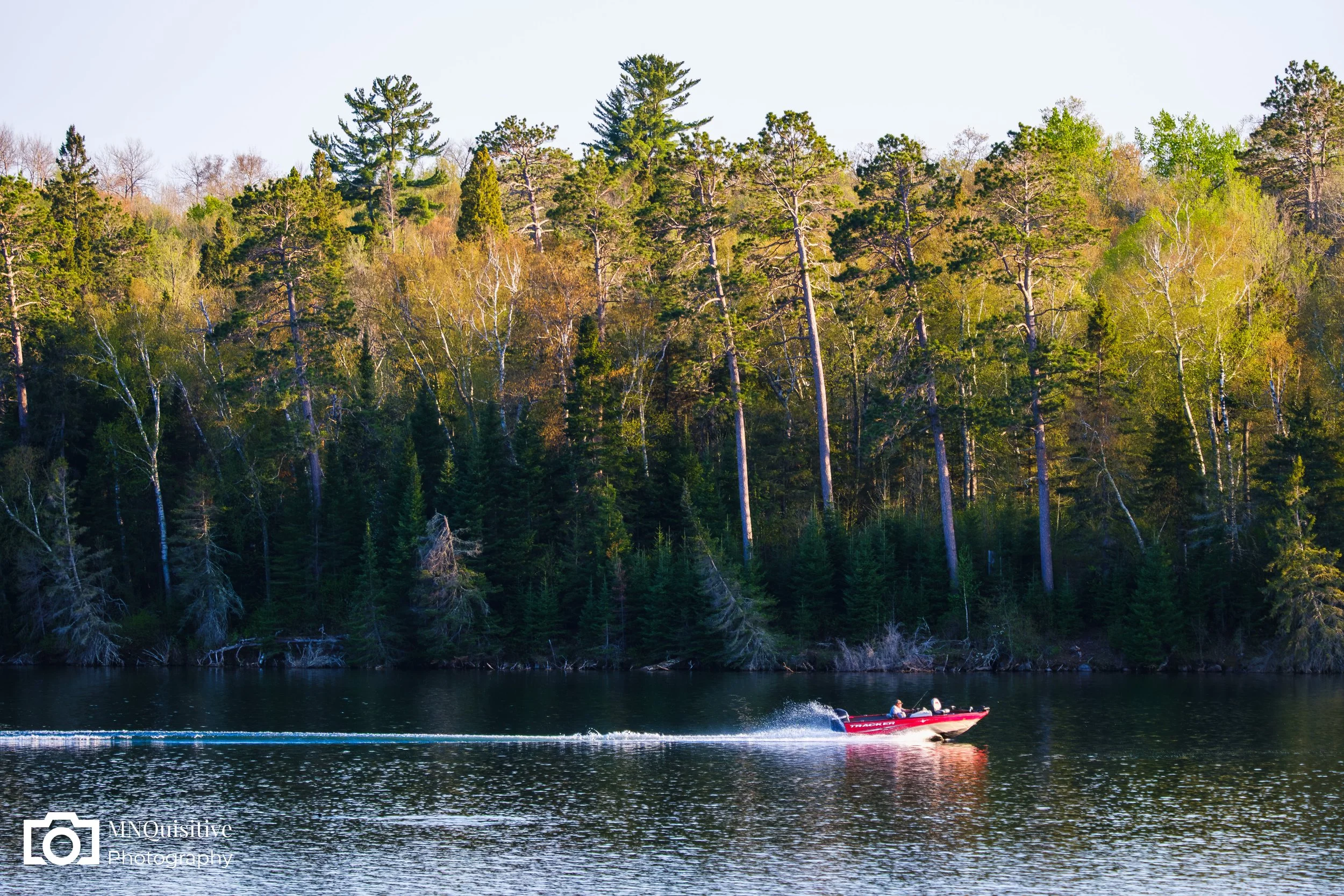 Itasca State Park (Purchase through The Darkroom—Professional Fine Art Prints)