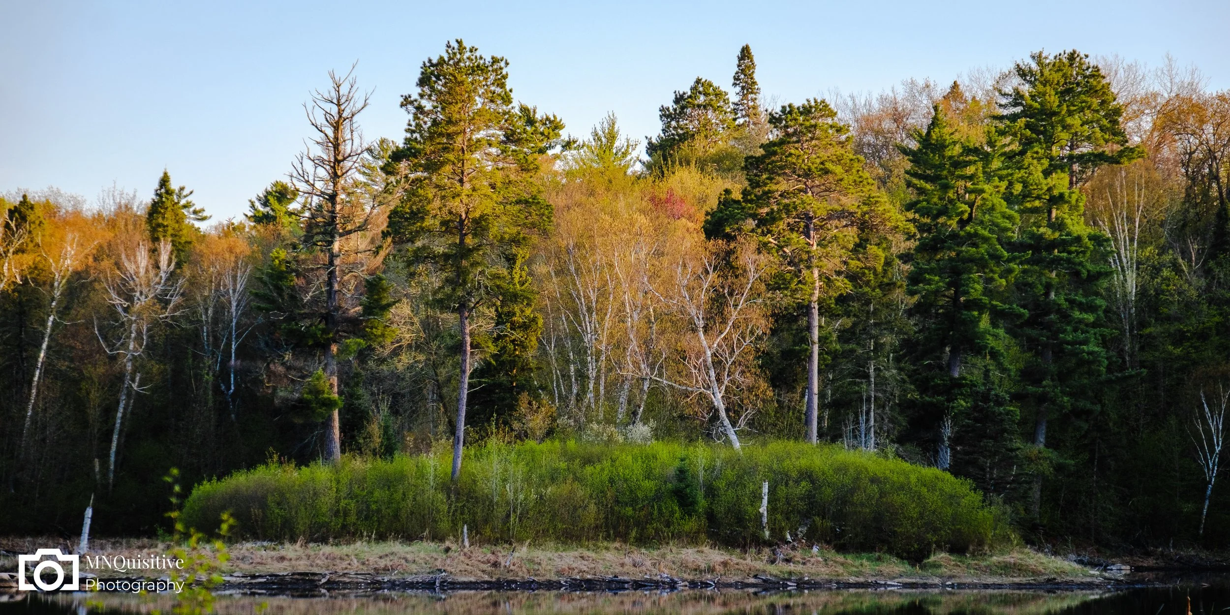 Itasca State Park, South Clearwater, MN (Starting at $17 - Purchase through the Darkroom  website)