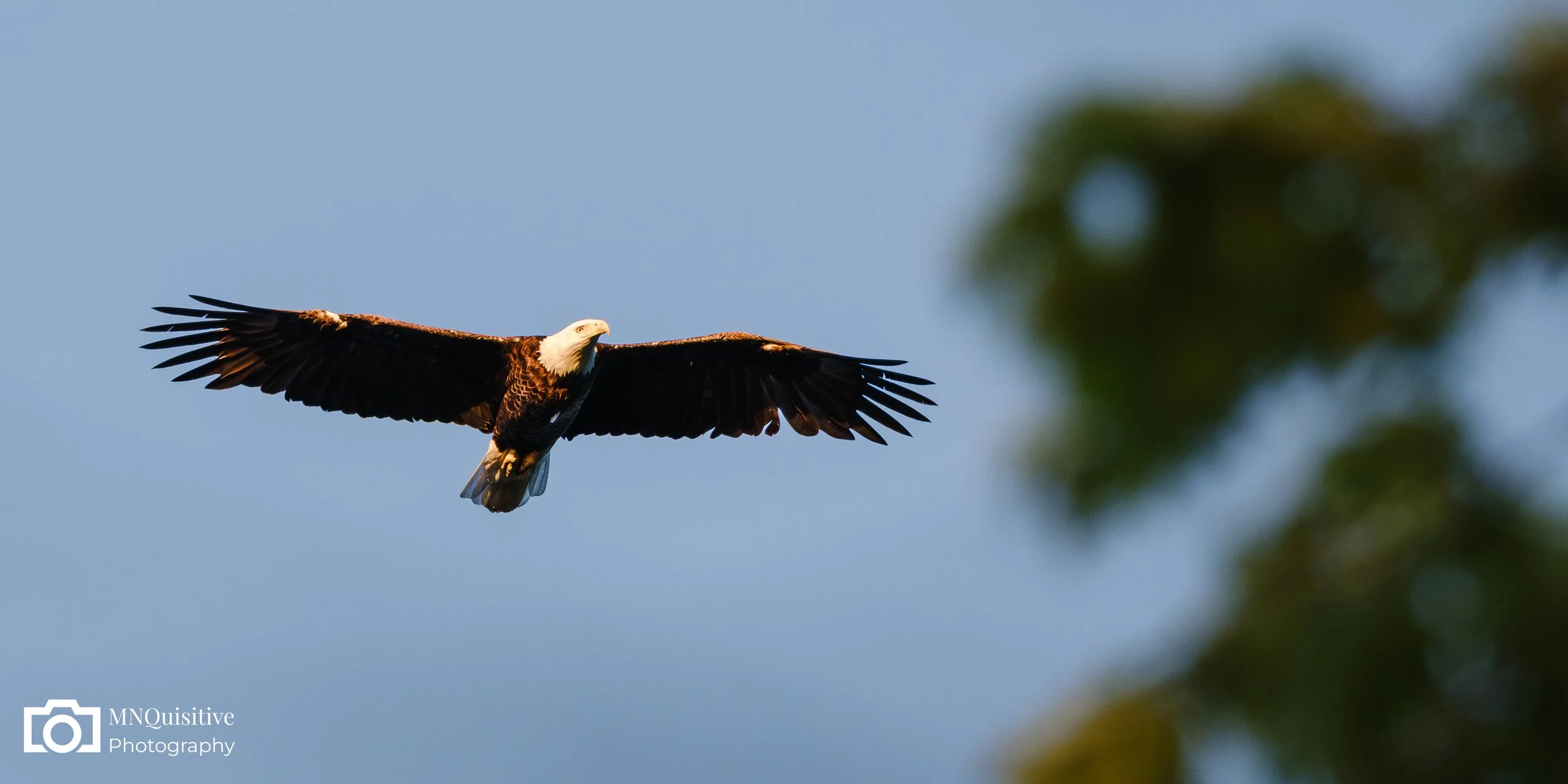 Frontenac State Park, Frontenac, MN (Starting at $17 - Purchase through the Darkroom  website)