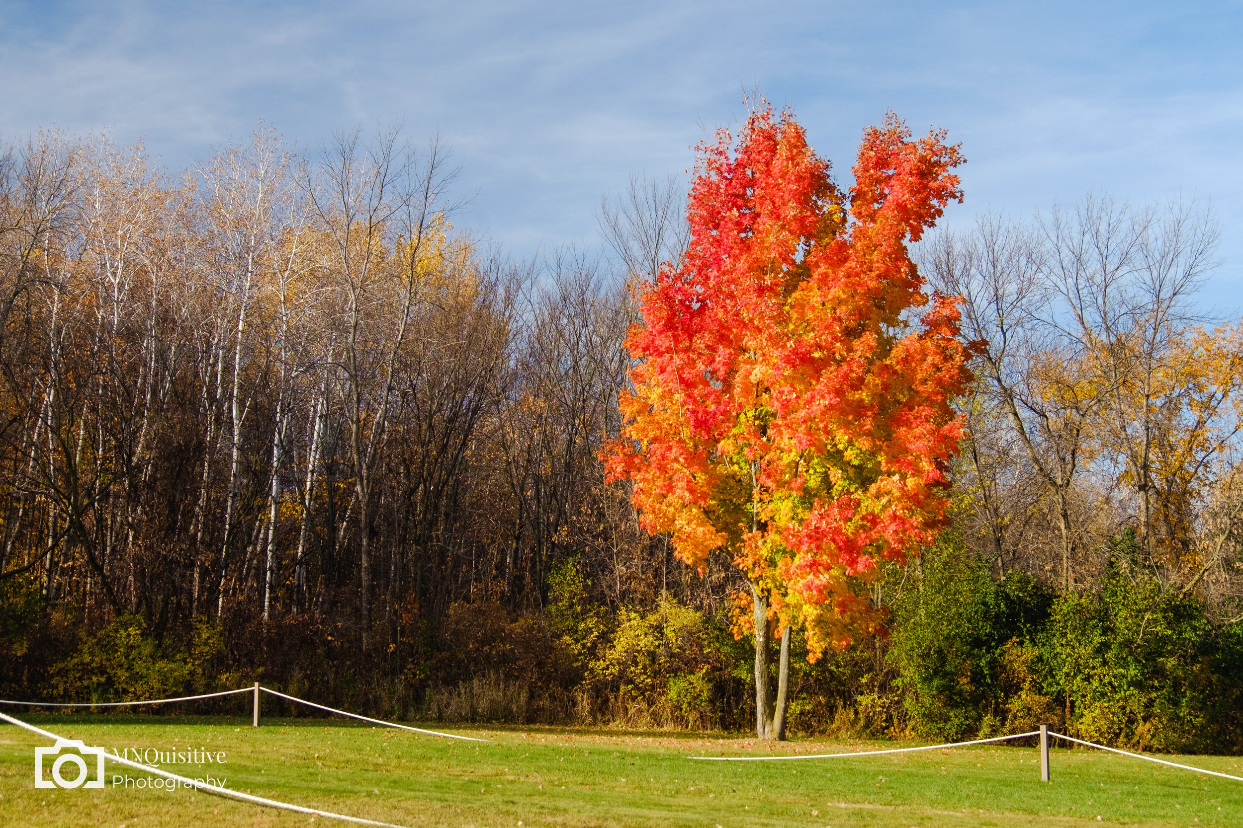 Elm Creek Park Reserve, Maple Grove, MN