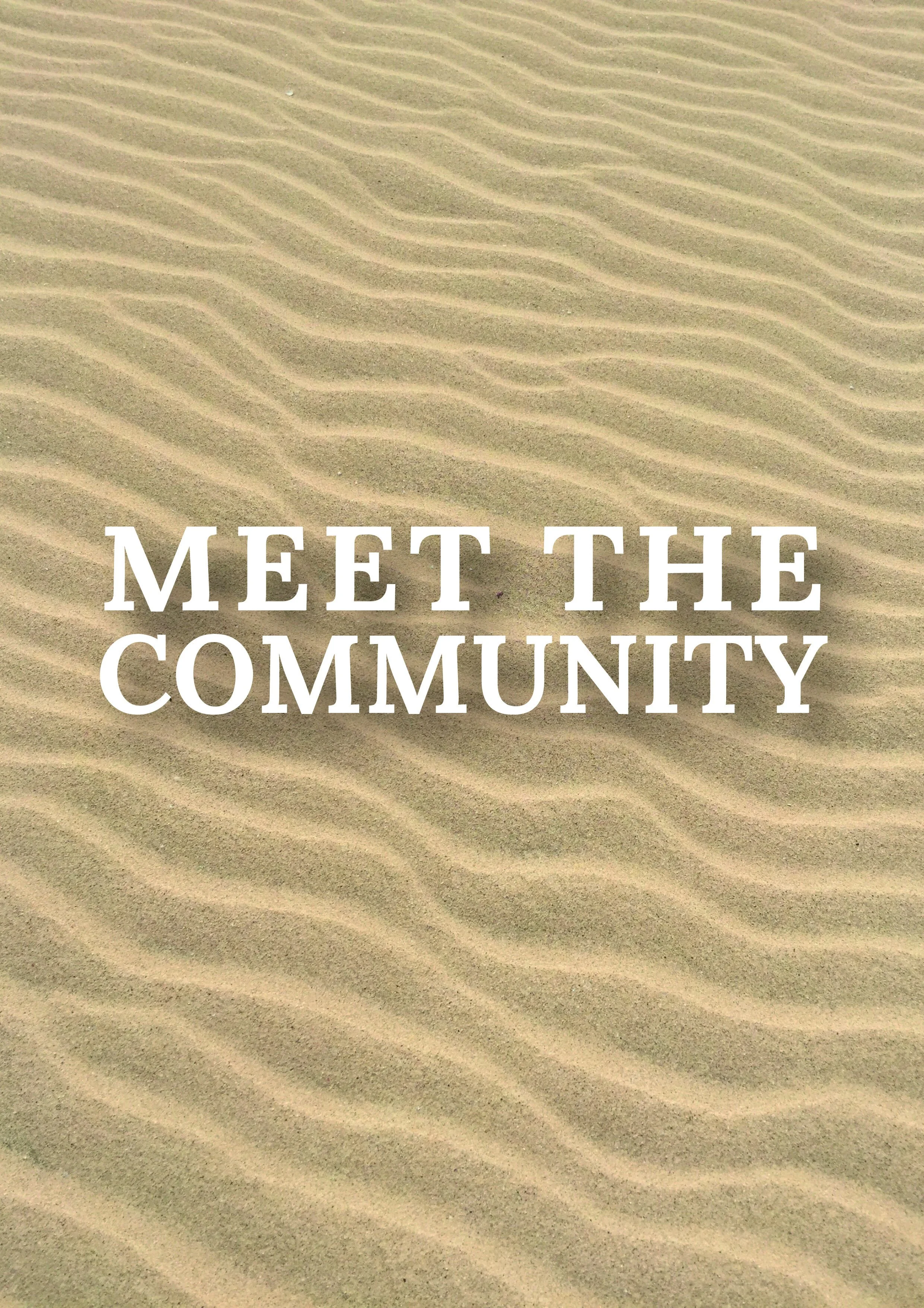 Meet the Community.jpg