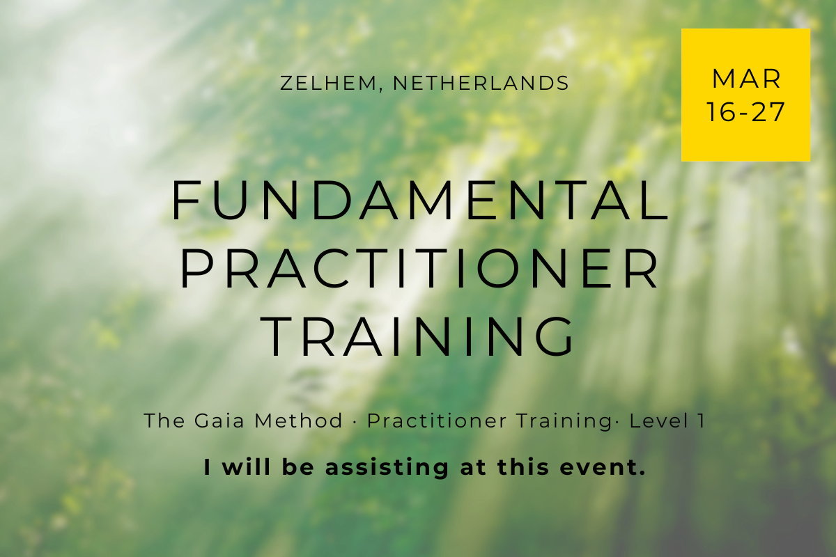 Fundamental Practitioner Training