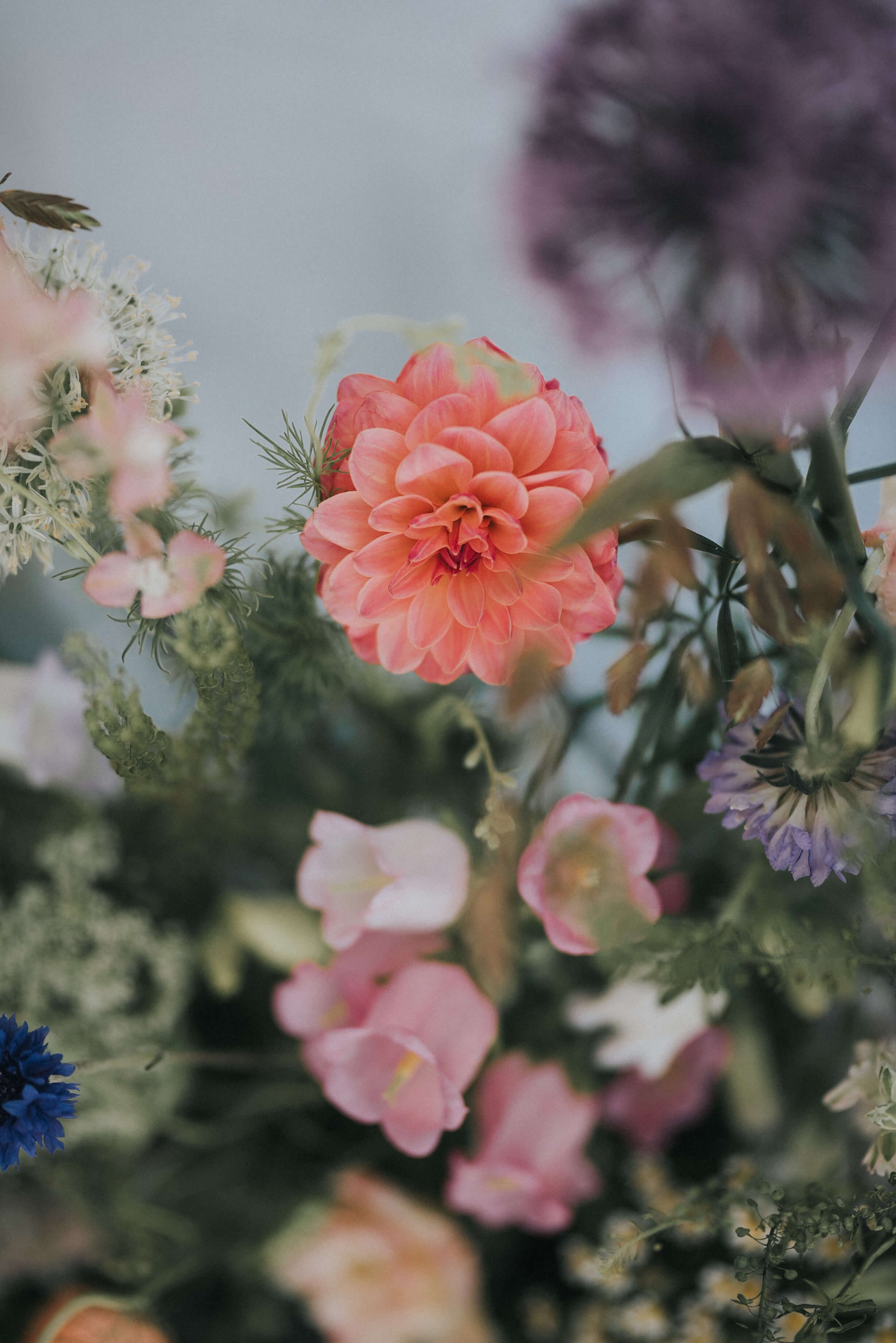 Alberts-Standaish-Wedding-Flowers-Closeup-Colourful2.jpg