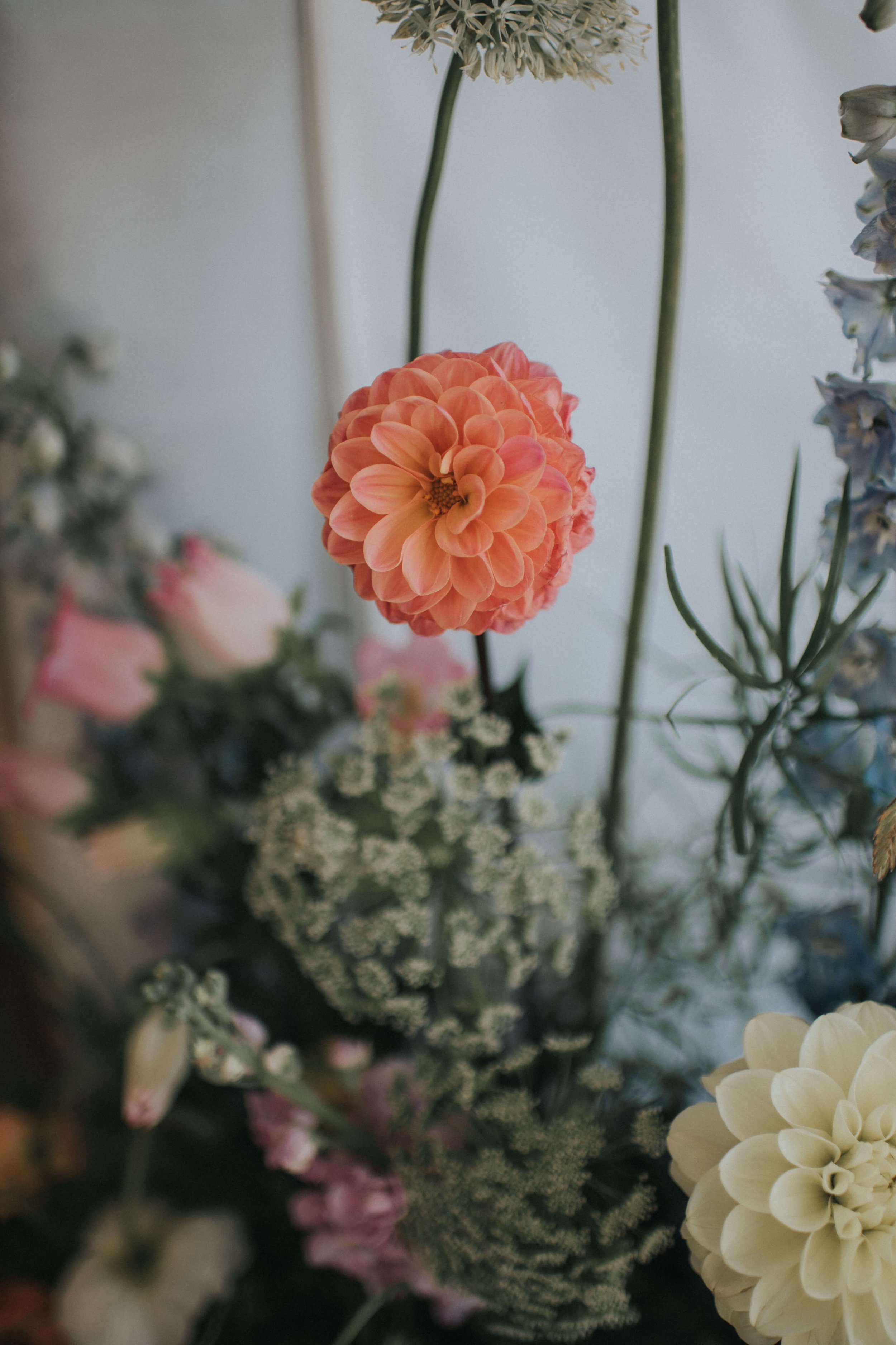 Alberts-Standaish-Wedding-Flowers-Closeup-Colourful6.jpg