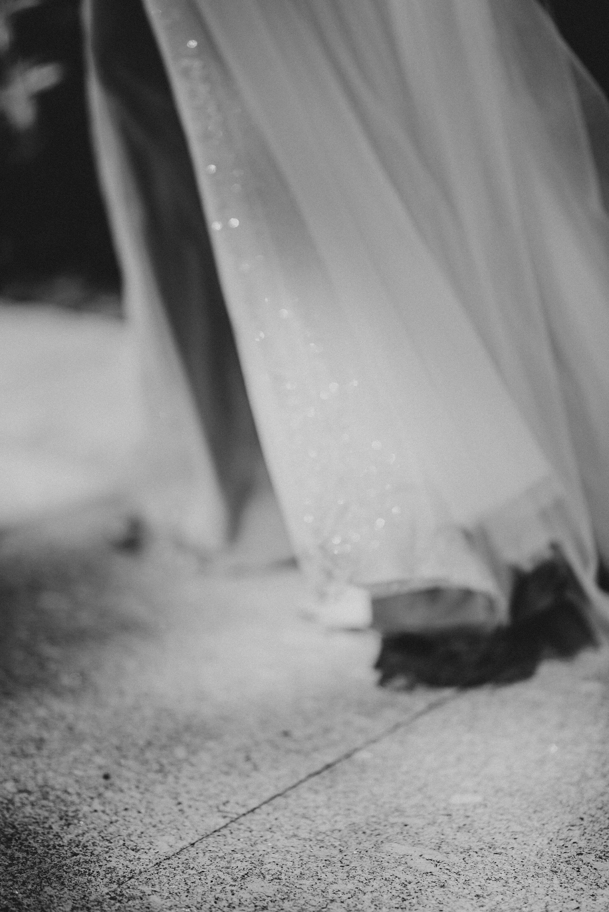 Alberts-Standish-Wedding-closeup.jpg