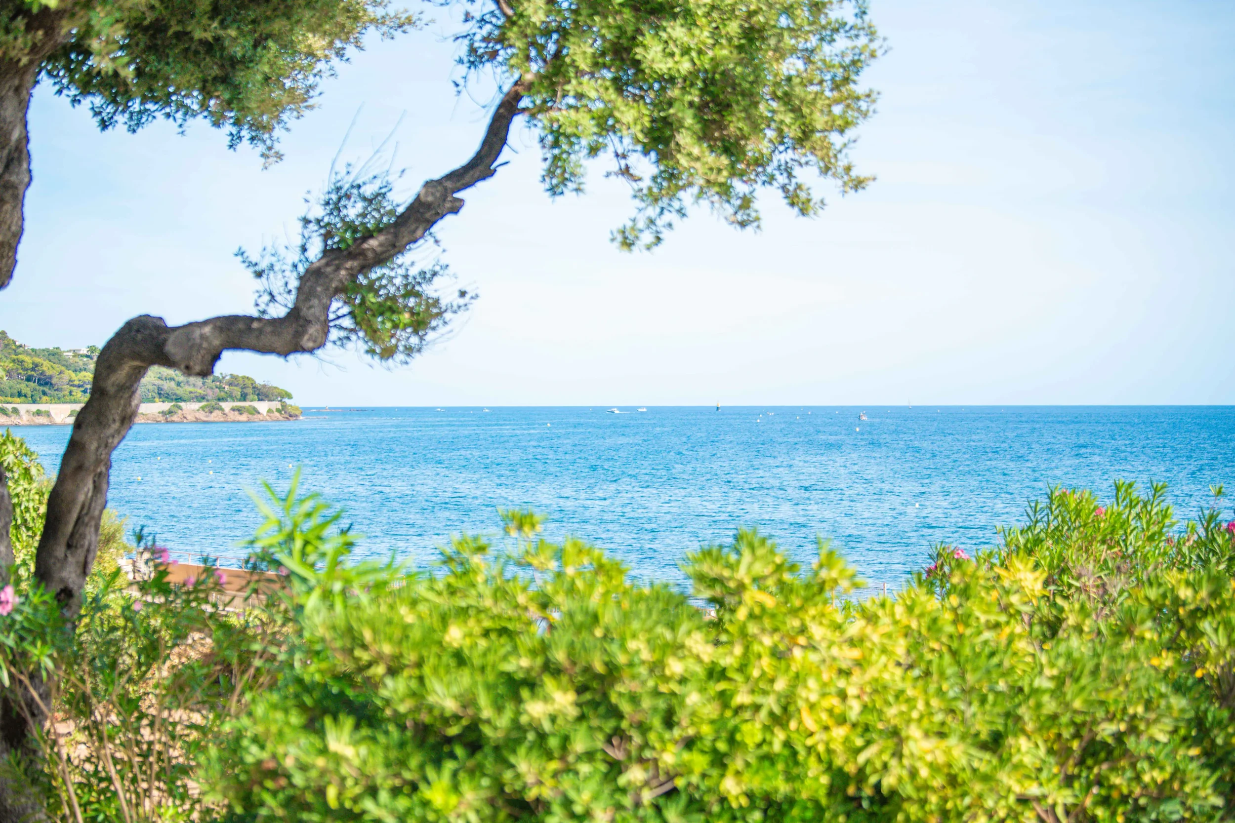 Villa Les datiers_DSC_2925.webp