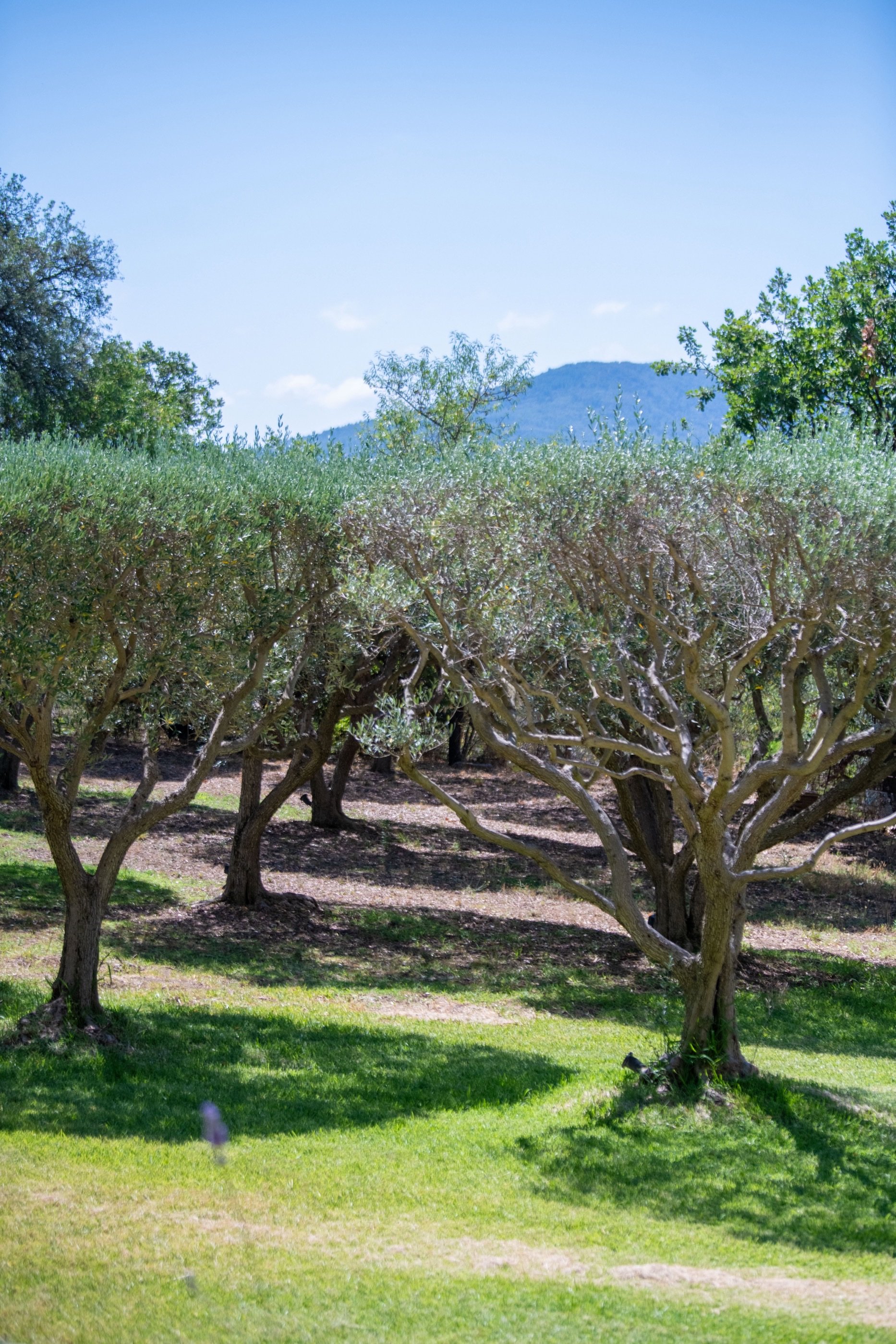 Villa Chêne-al-Pierre - RESIZE - DSC_6363.jpg