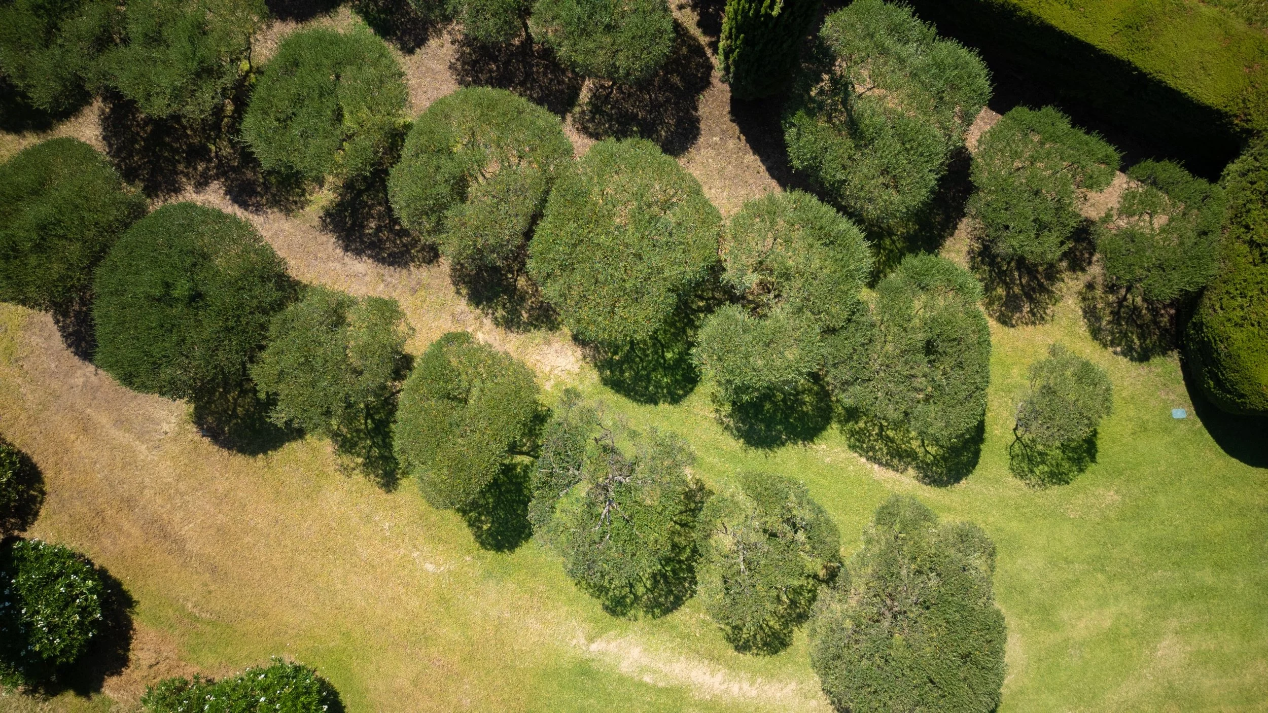 Villa Chêne-al-Pierre - RESIZE - DJI_0796.jpg