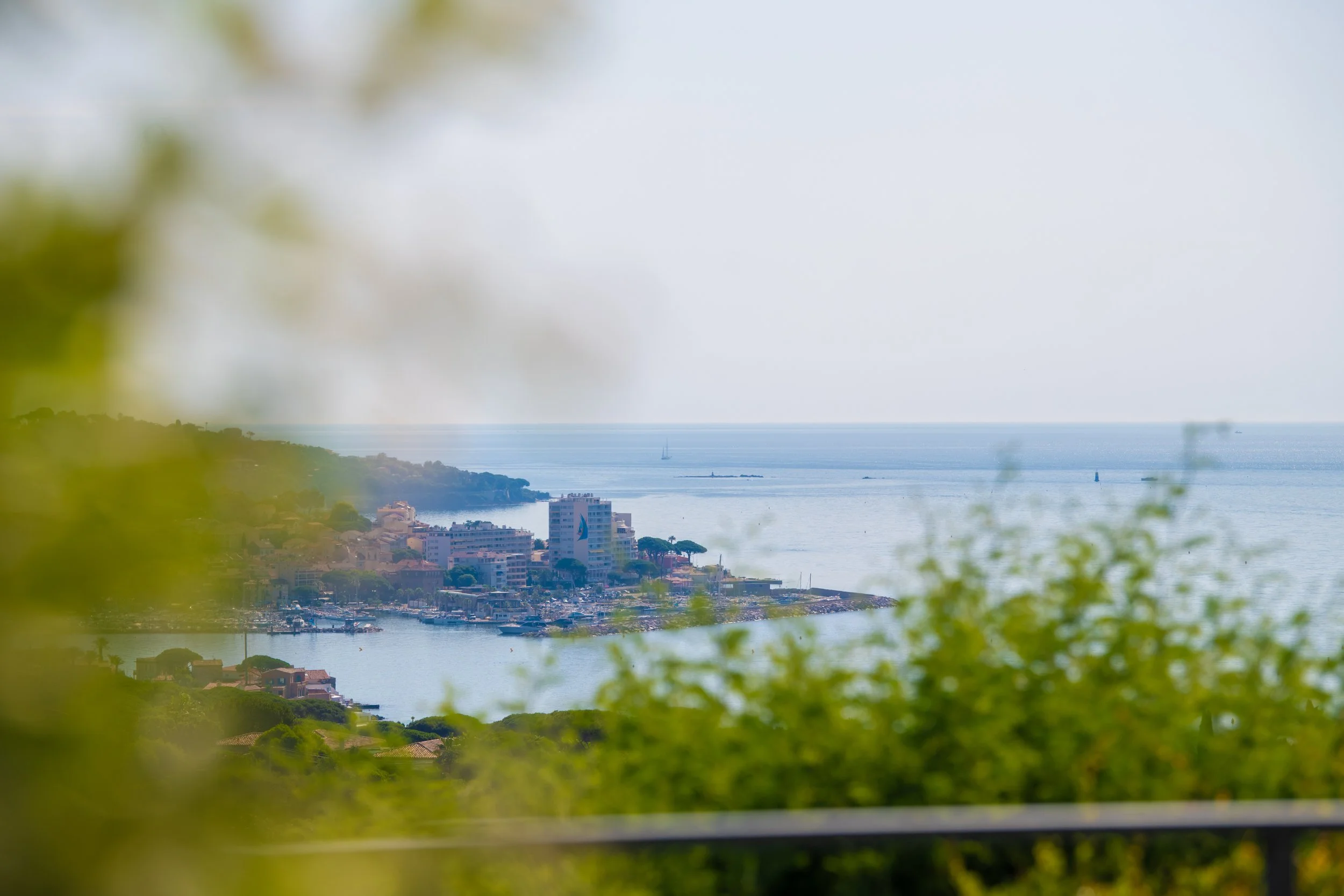 DSC_5924.jpg