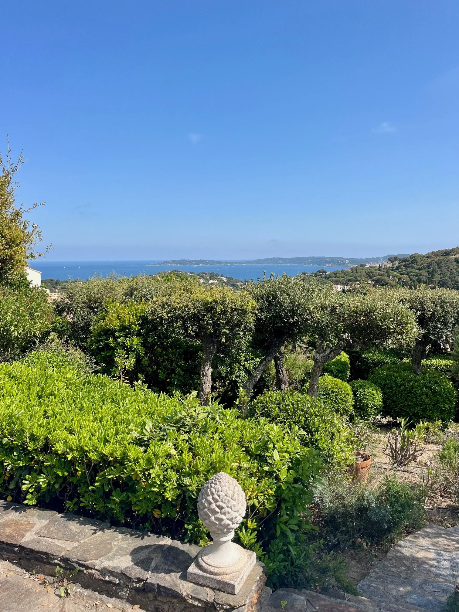 Mas Pinea - EXT - IMG_8556.jpeg