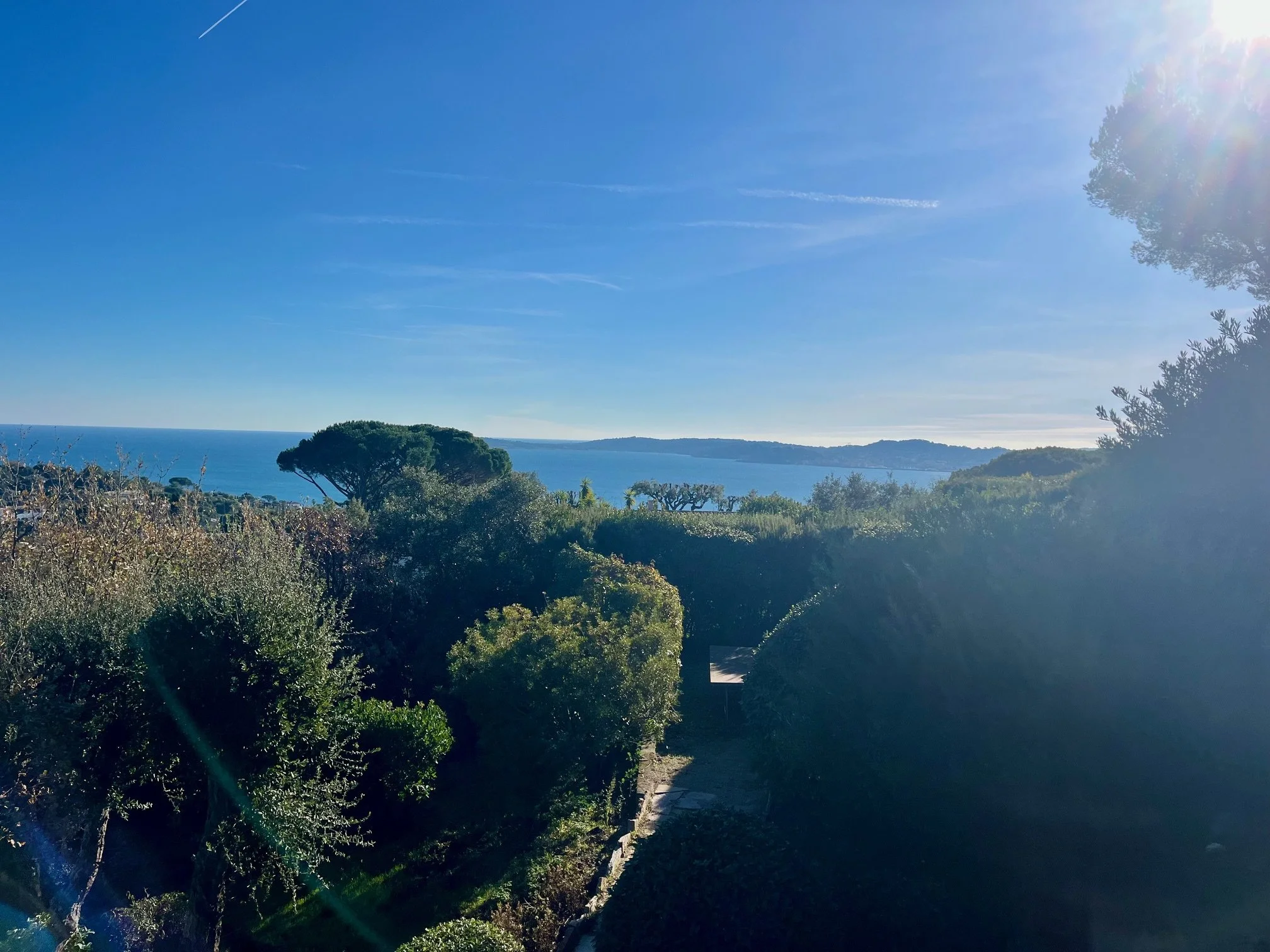 Mas La Gelinière - IMG_7652.jpg