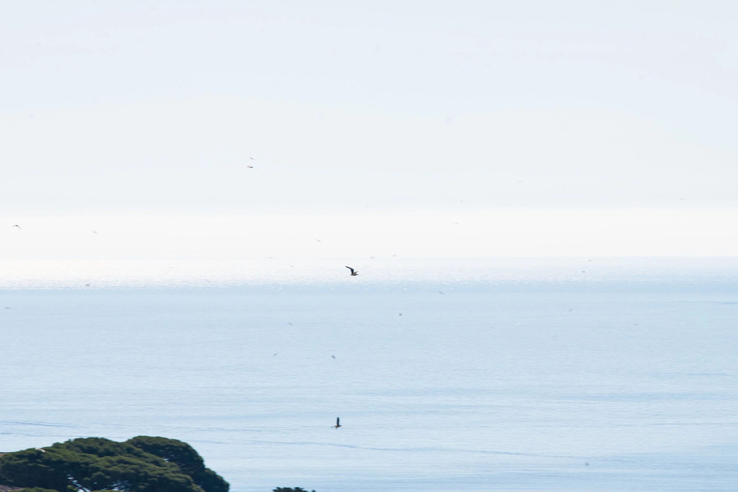 DSC_0747.jpg