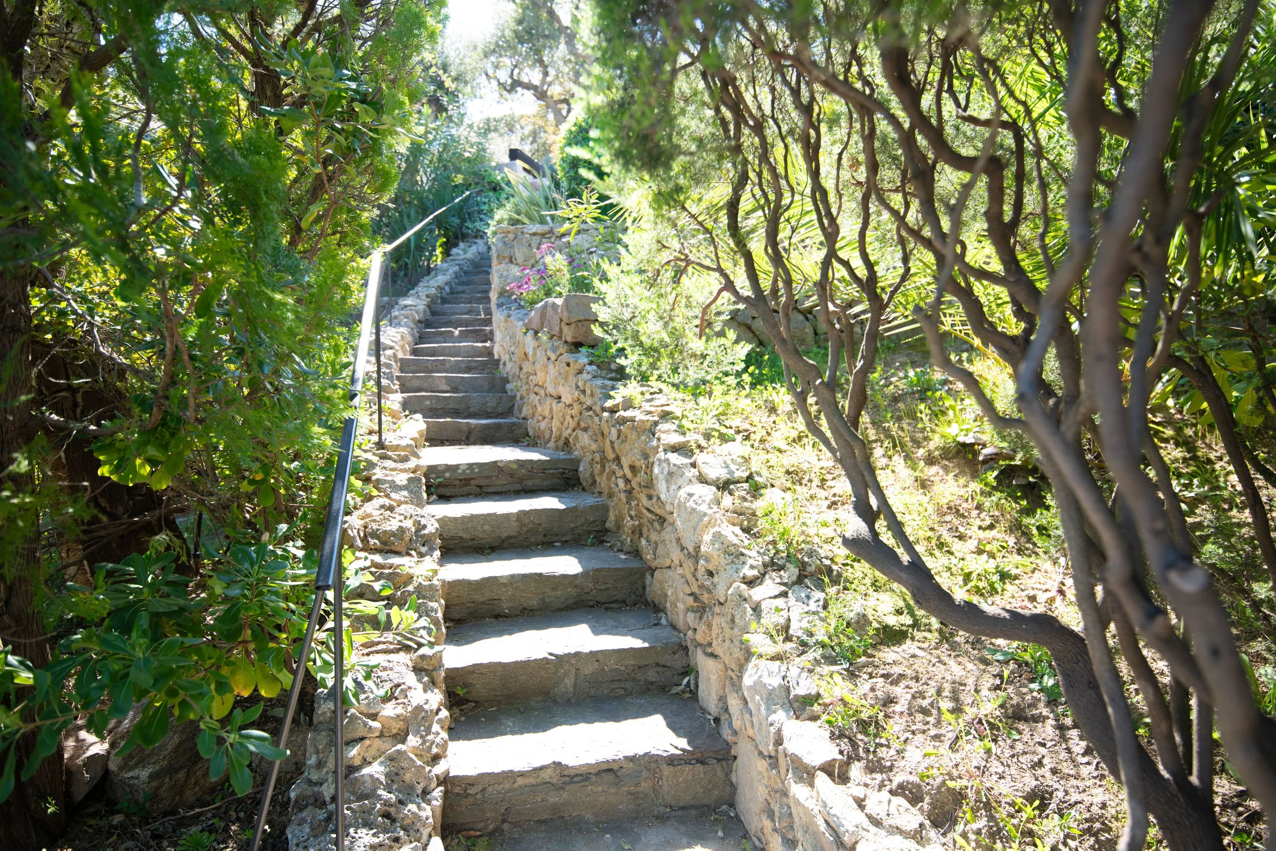 DSC_0472.jpg