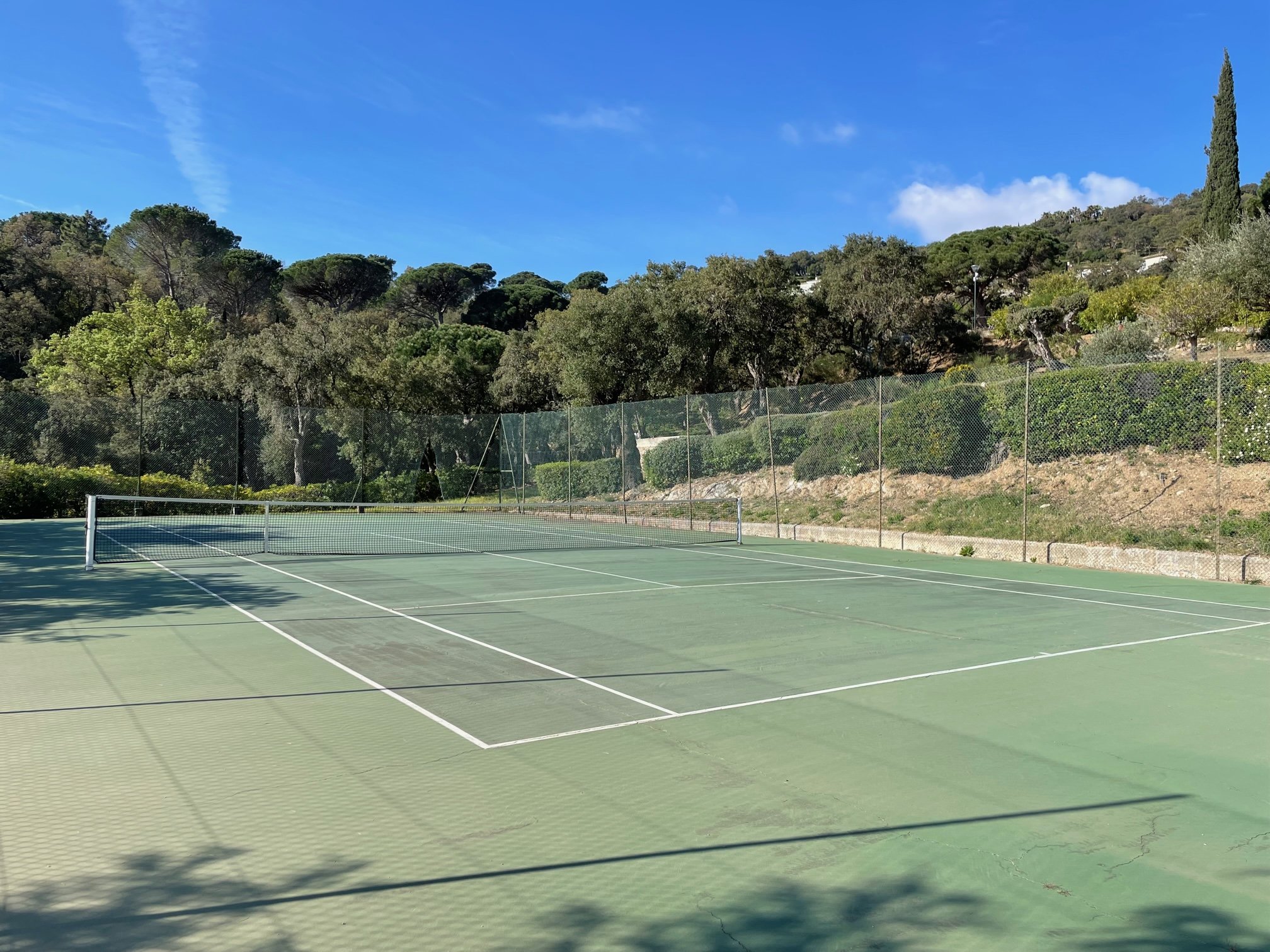 IMG_7097.jpg